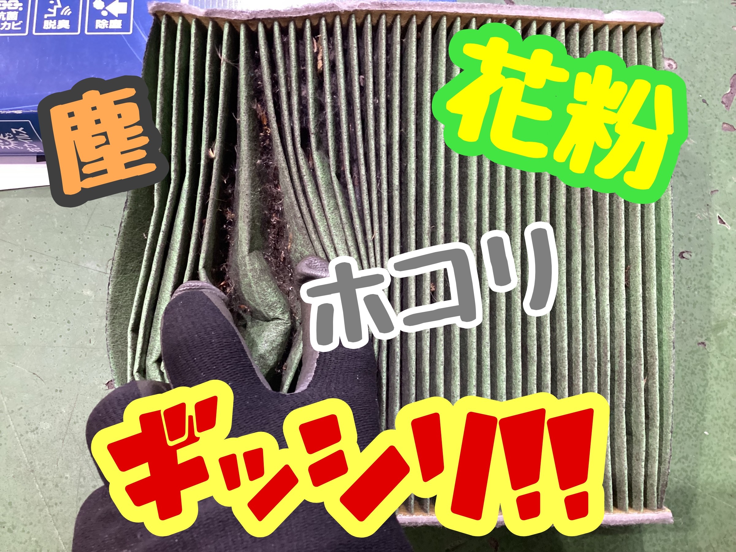 スタッフ撮影
