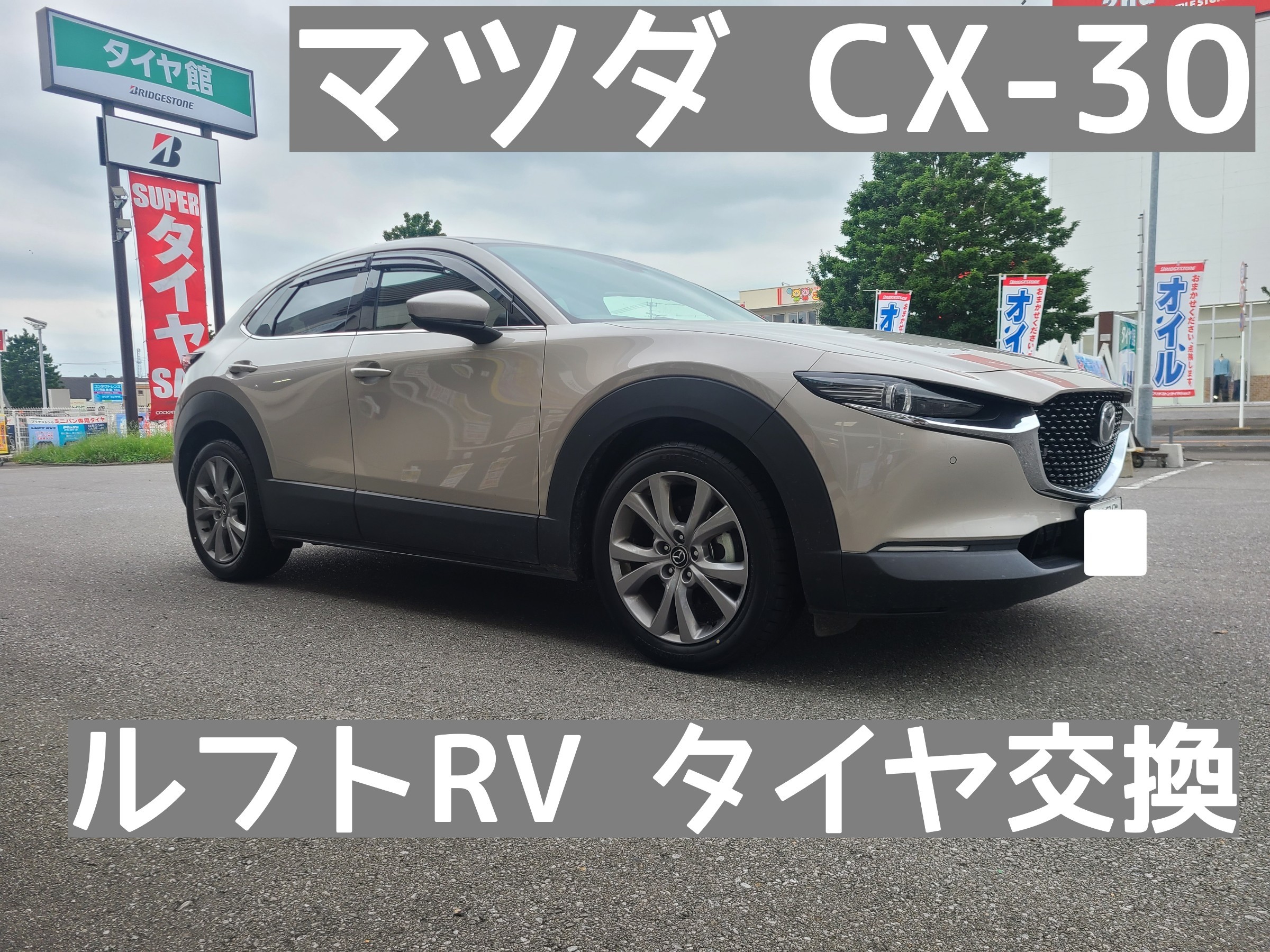 スタッフが撮影しました