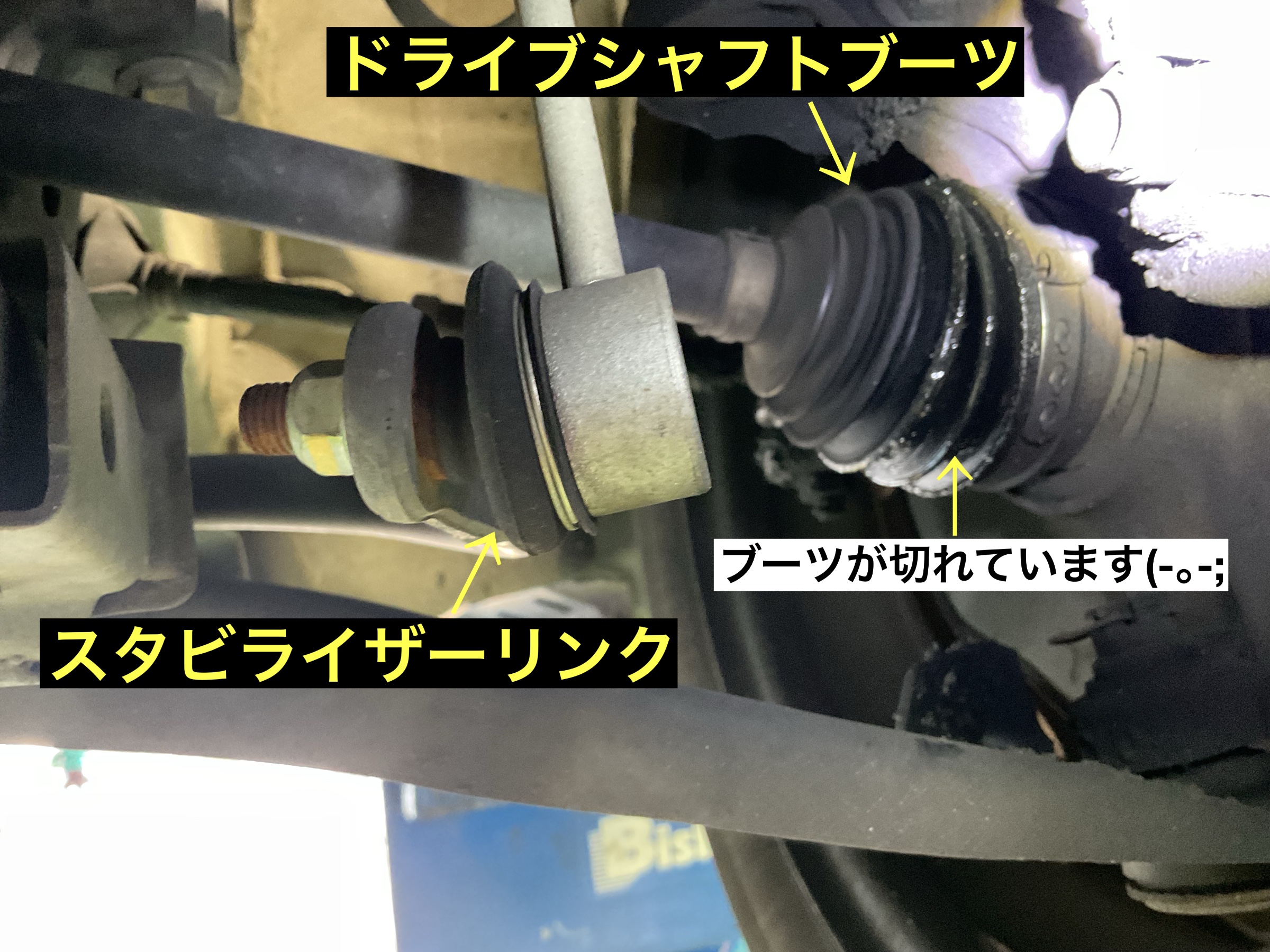 スタッフが撮影