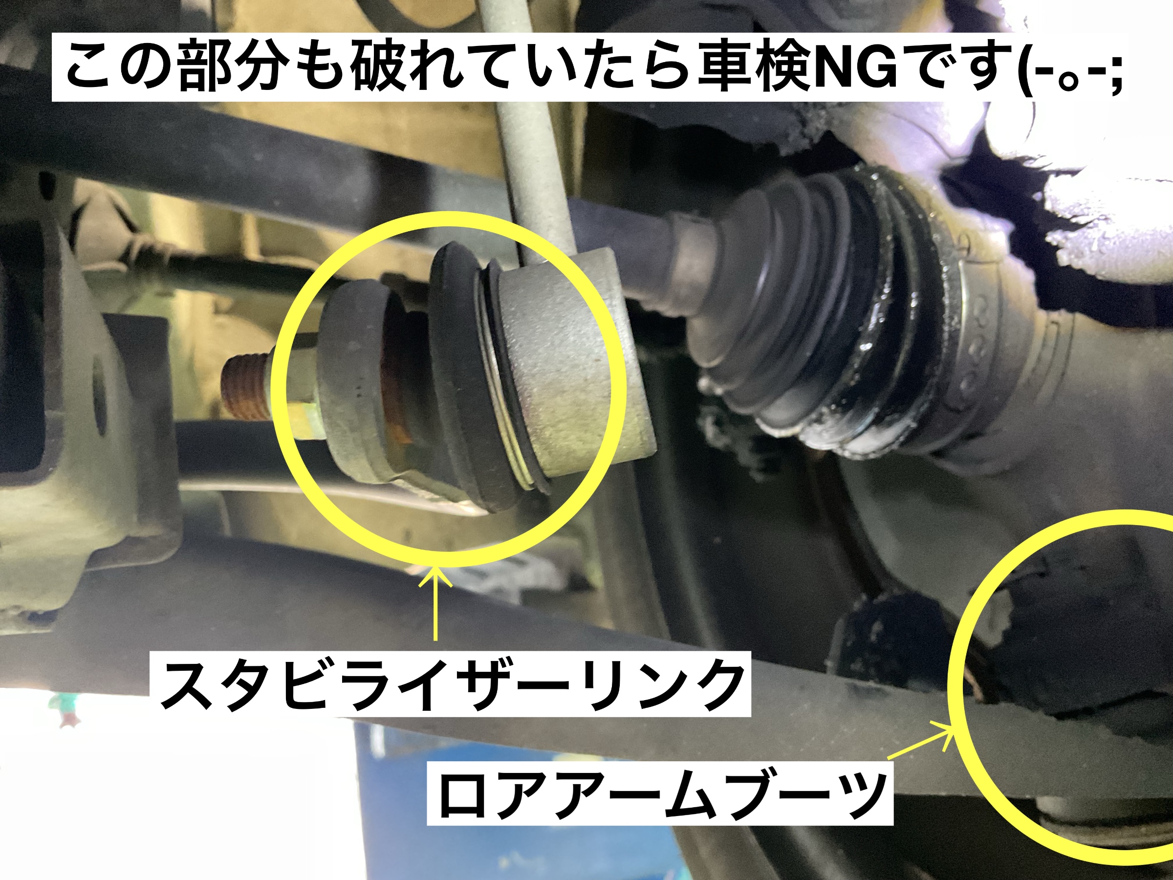 スタッフが撮影