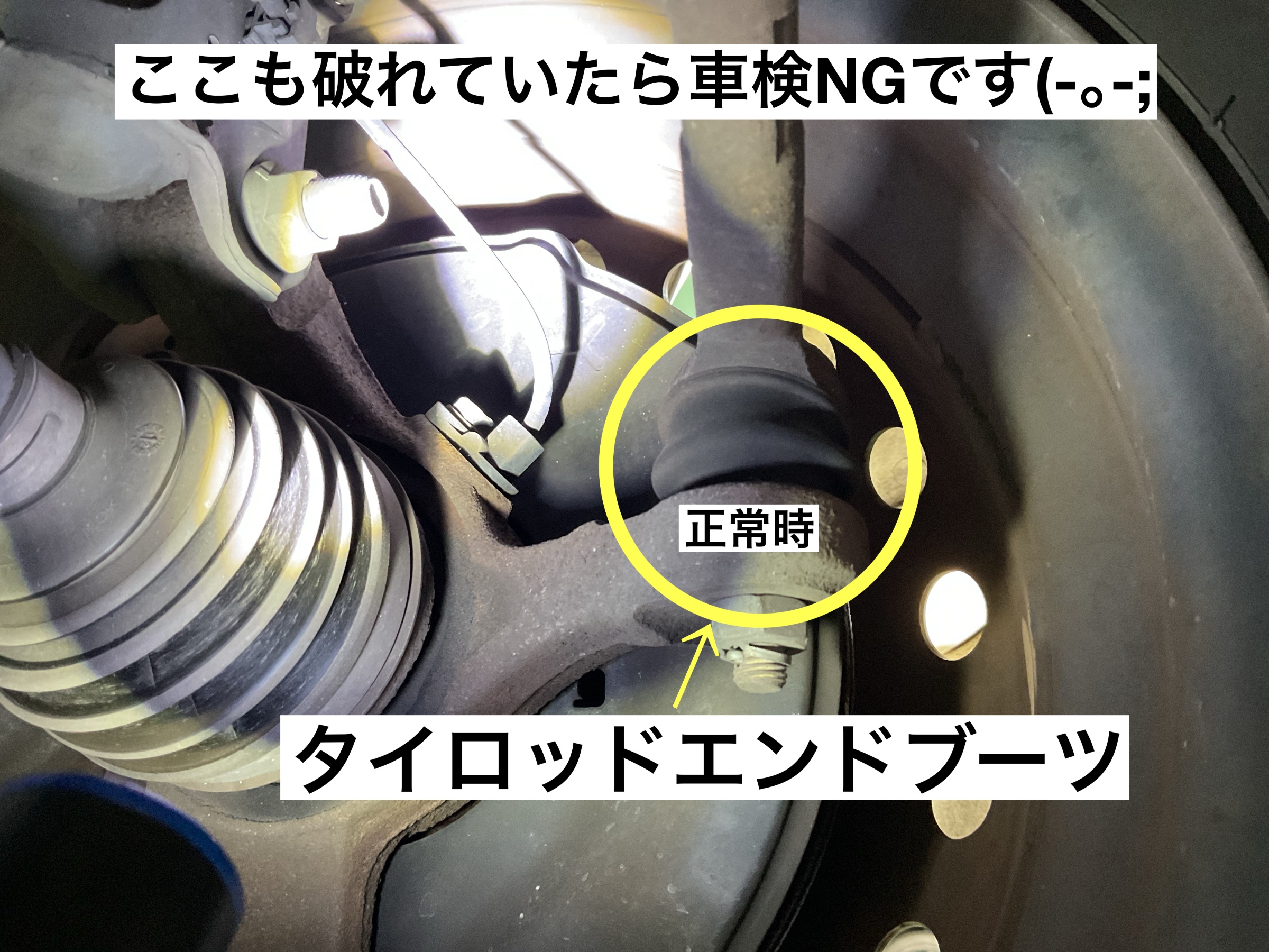 スタッフが撮影