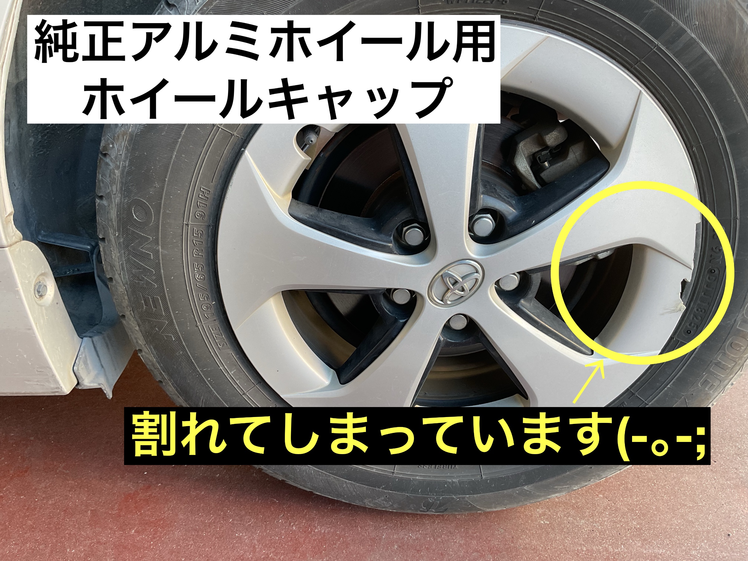 スタッフが撮影