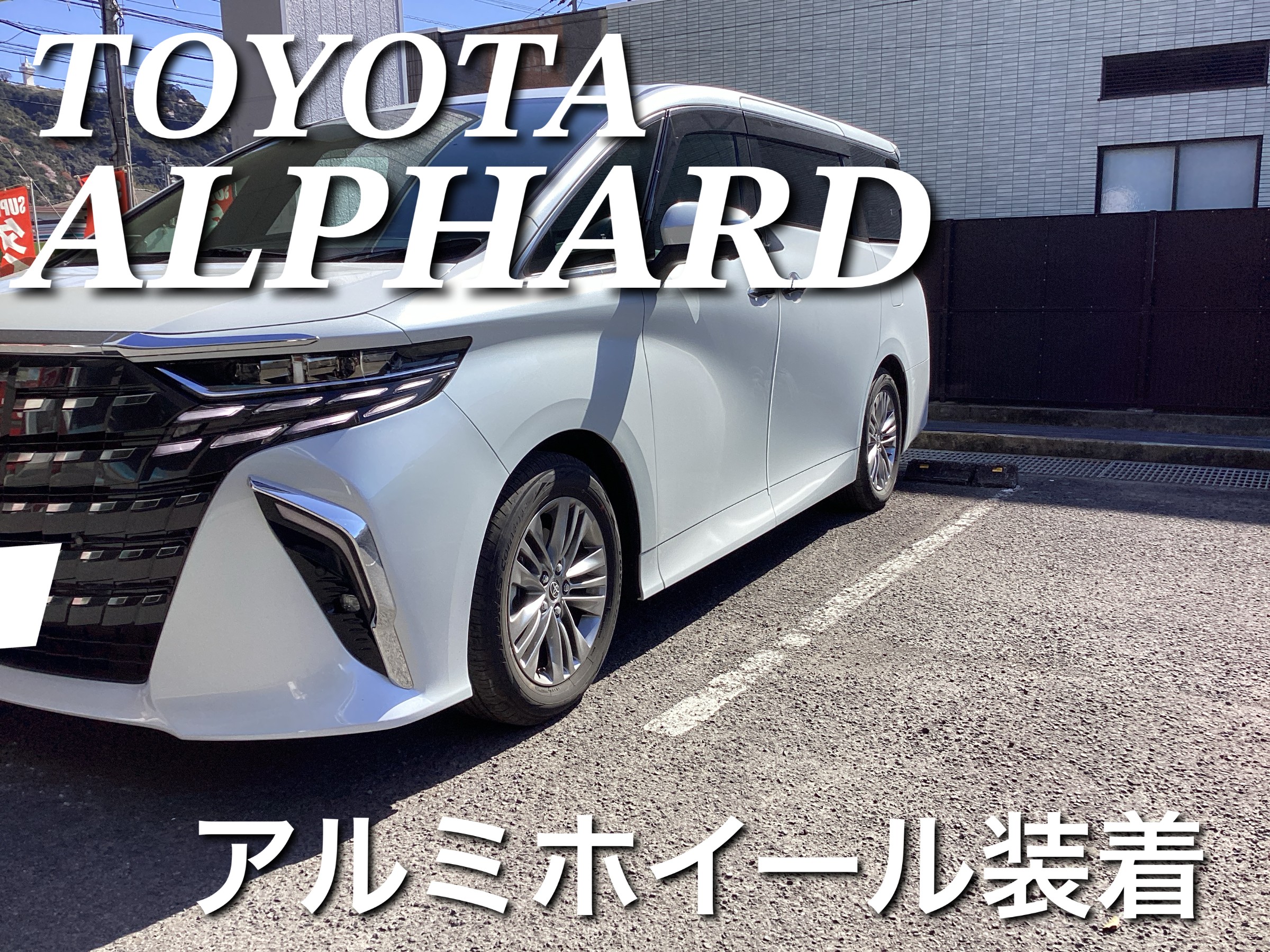 スタッフが撮影した画像