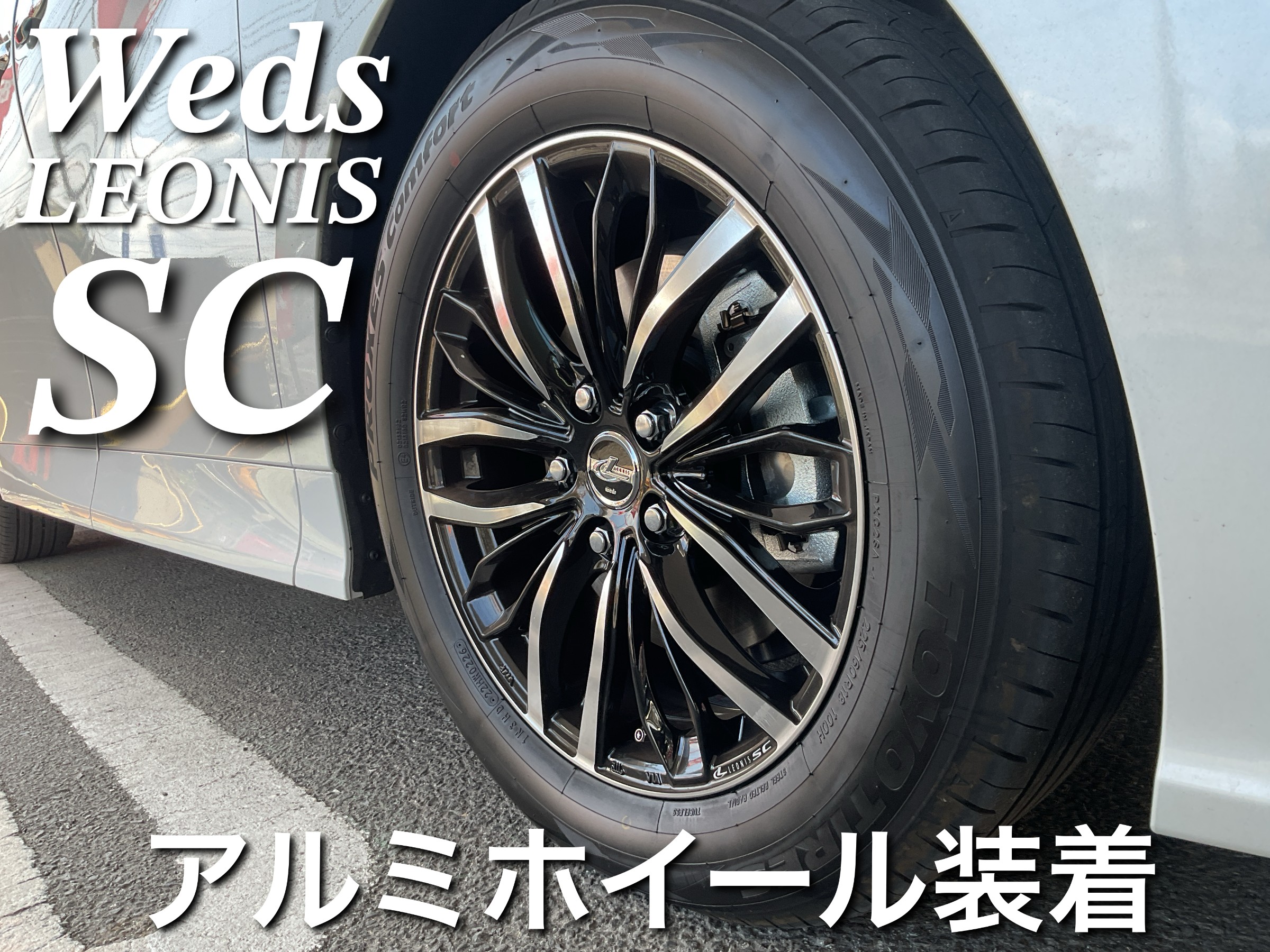 スタッフが撮影した画像