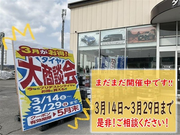 スタッフが撮影加工した画像