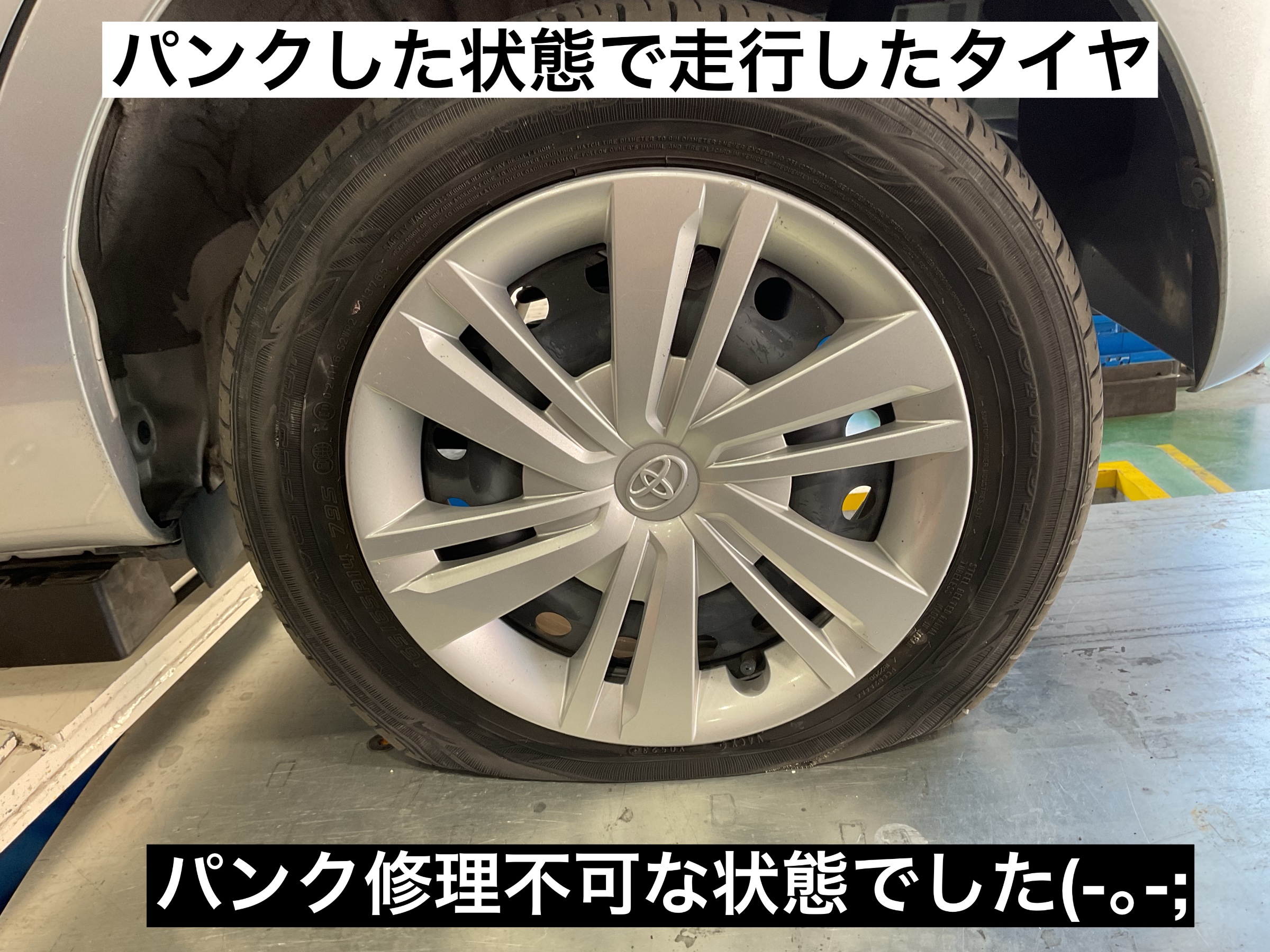 スタッフが撮影