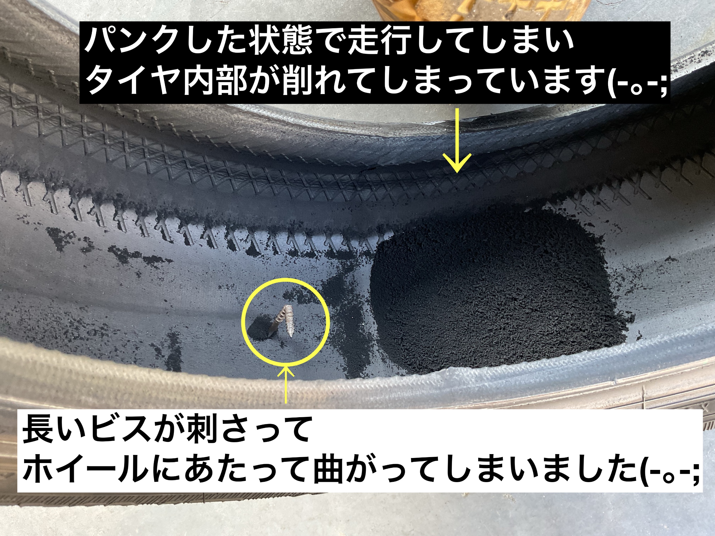 スタッフが撮影