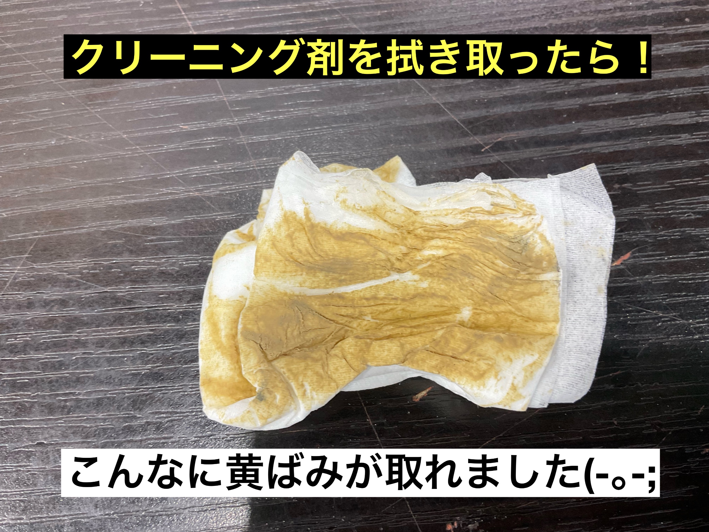 スタッフが撮影