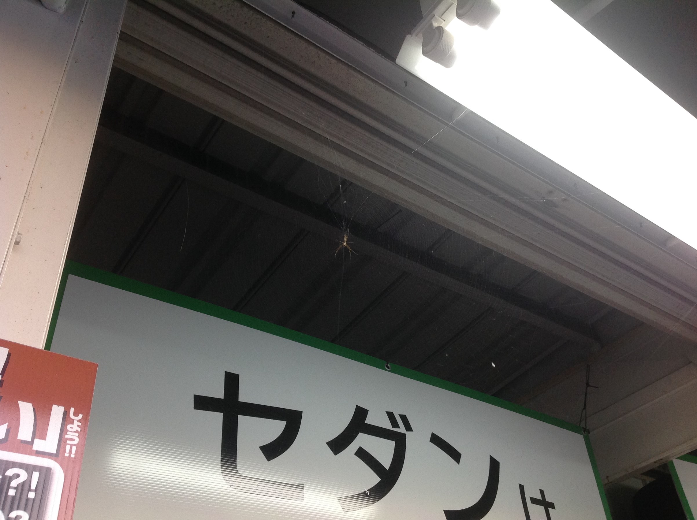 スタッフ撮影
