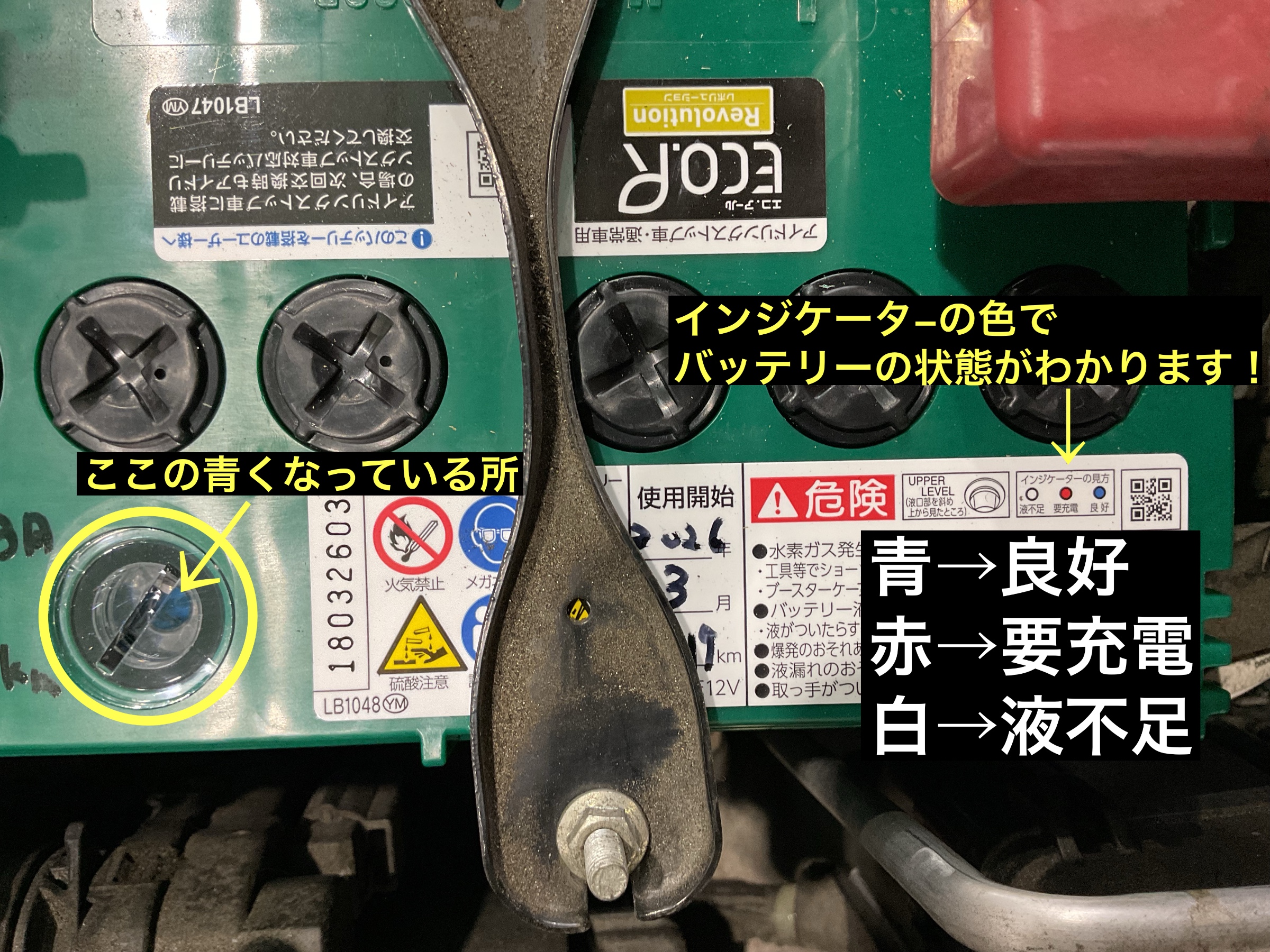 スタッフが撮影