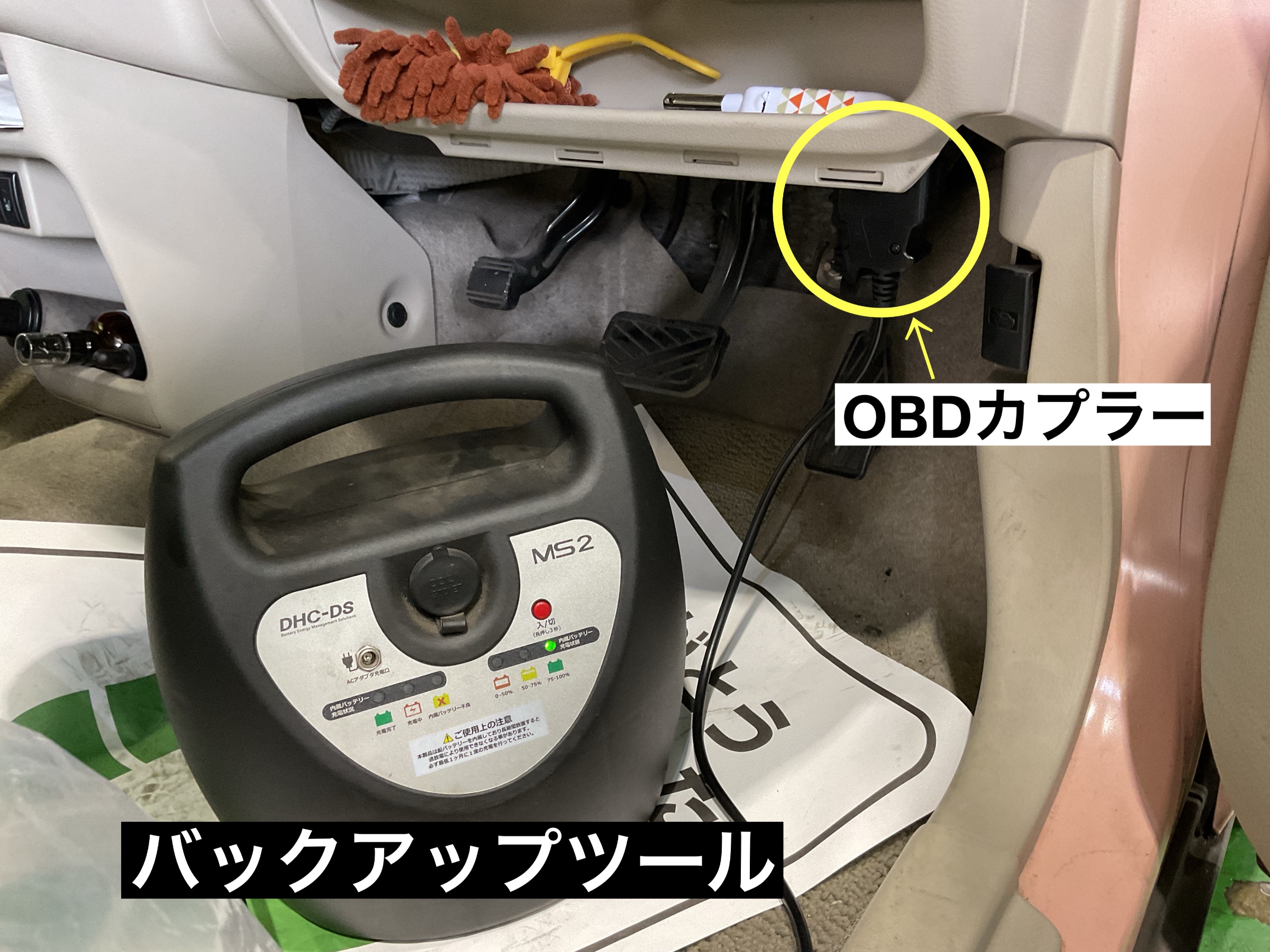 スタッフが撮影