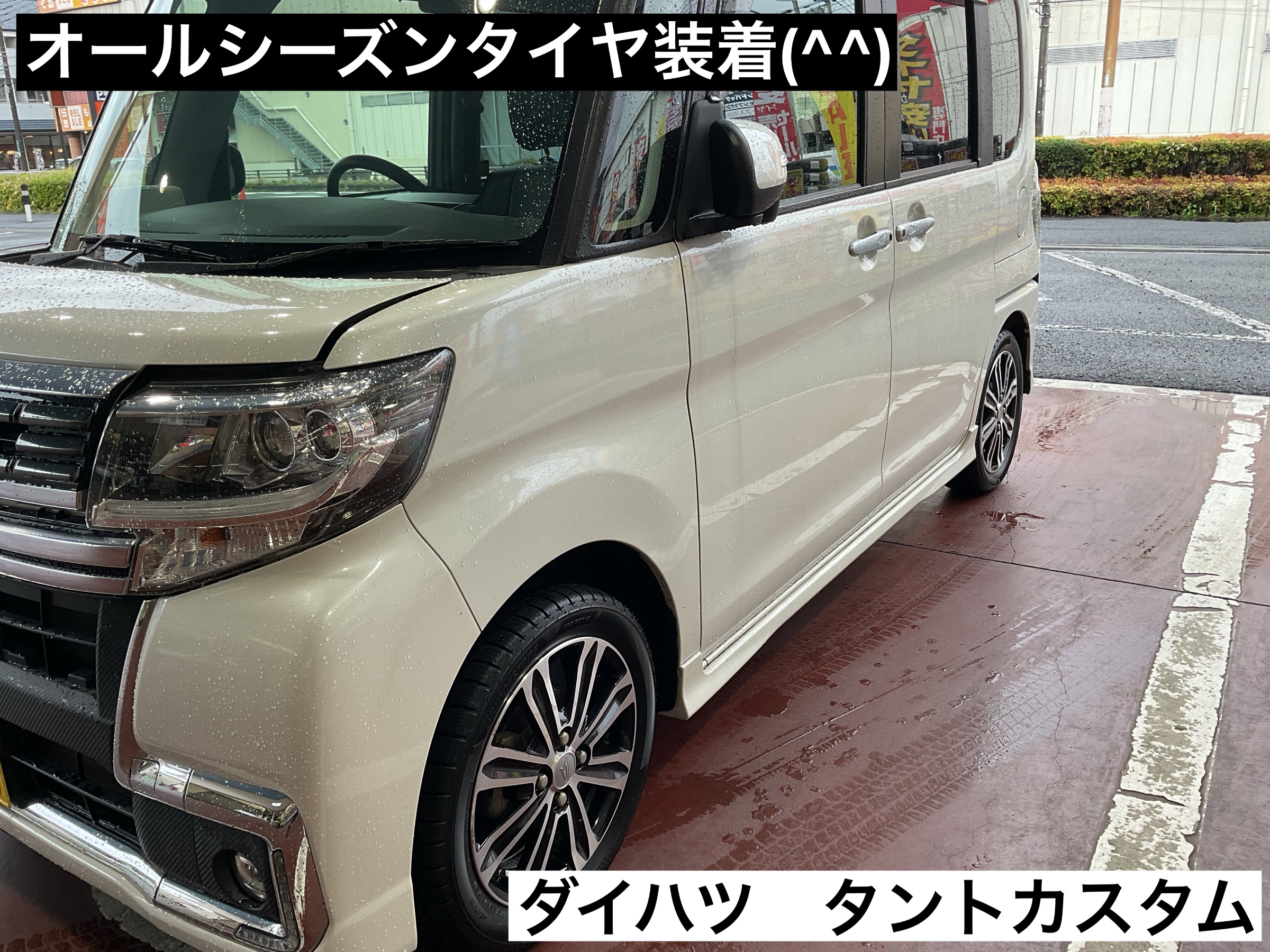 スタッフが撮影