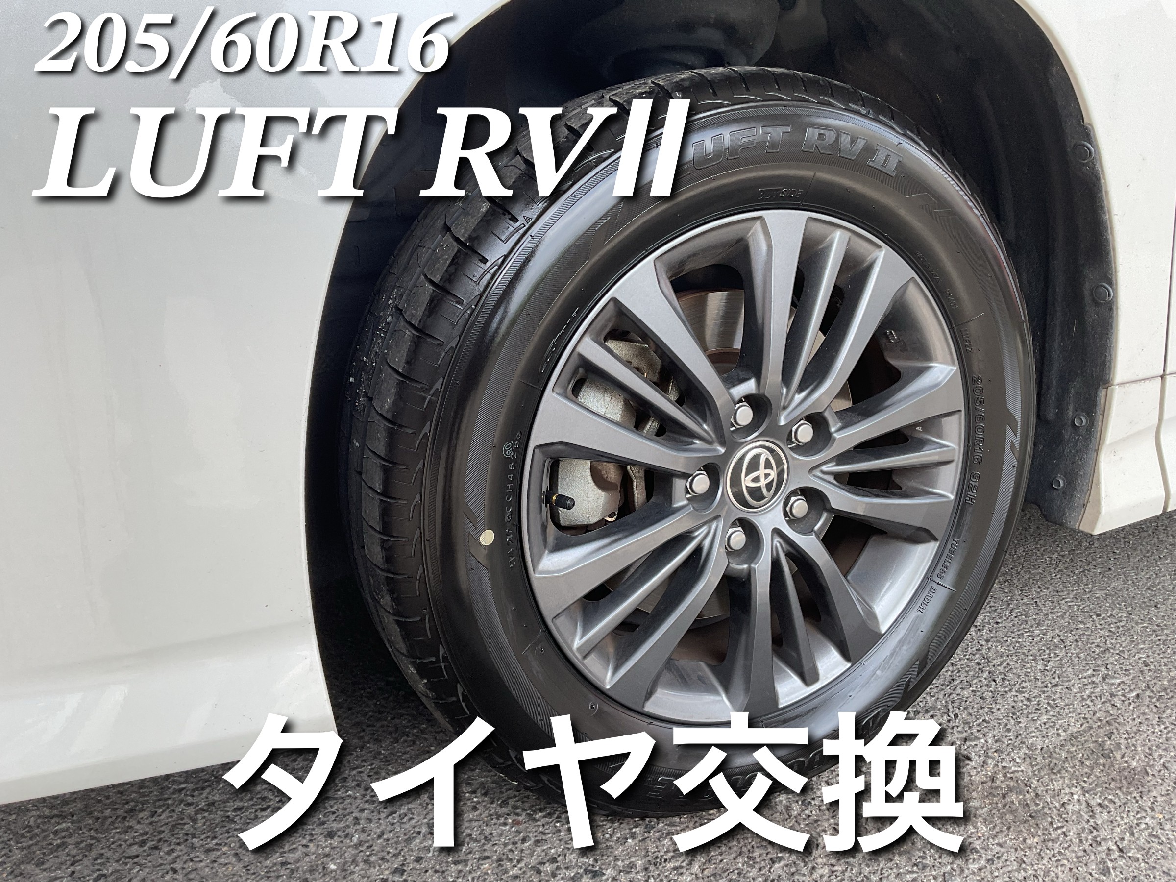 スタッフが撮影した画像