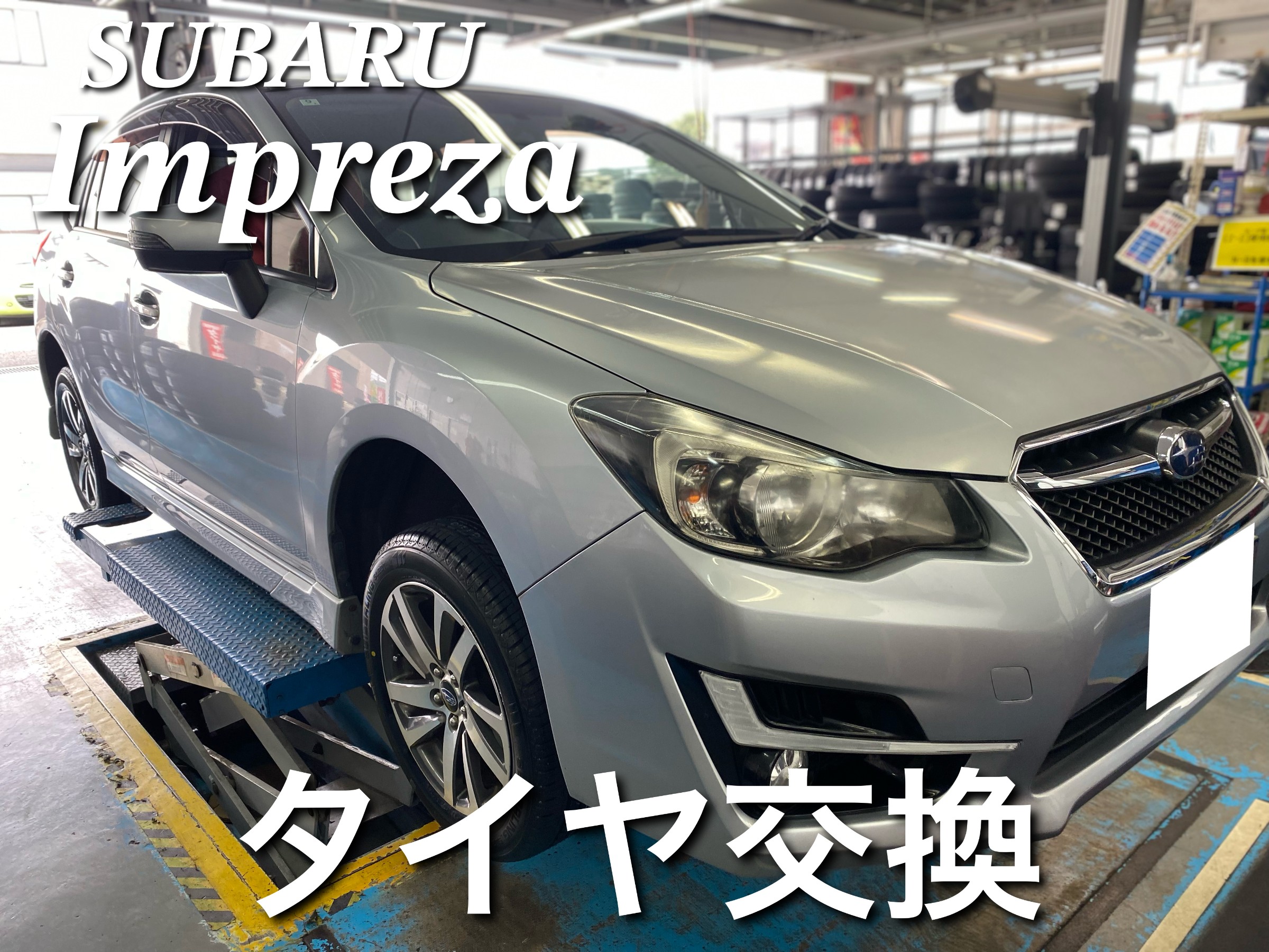 スタッフが撮影した画像