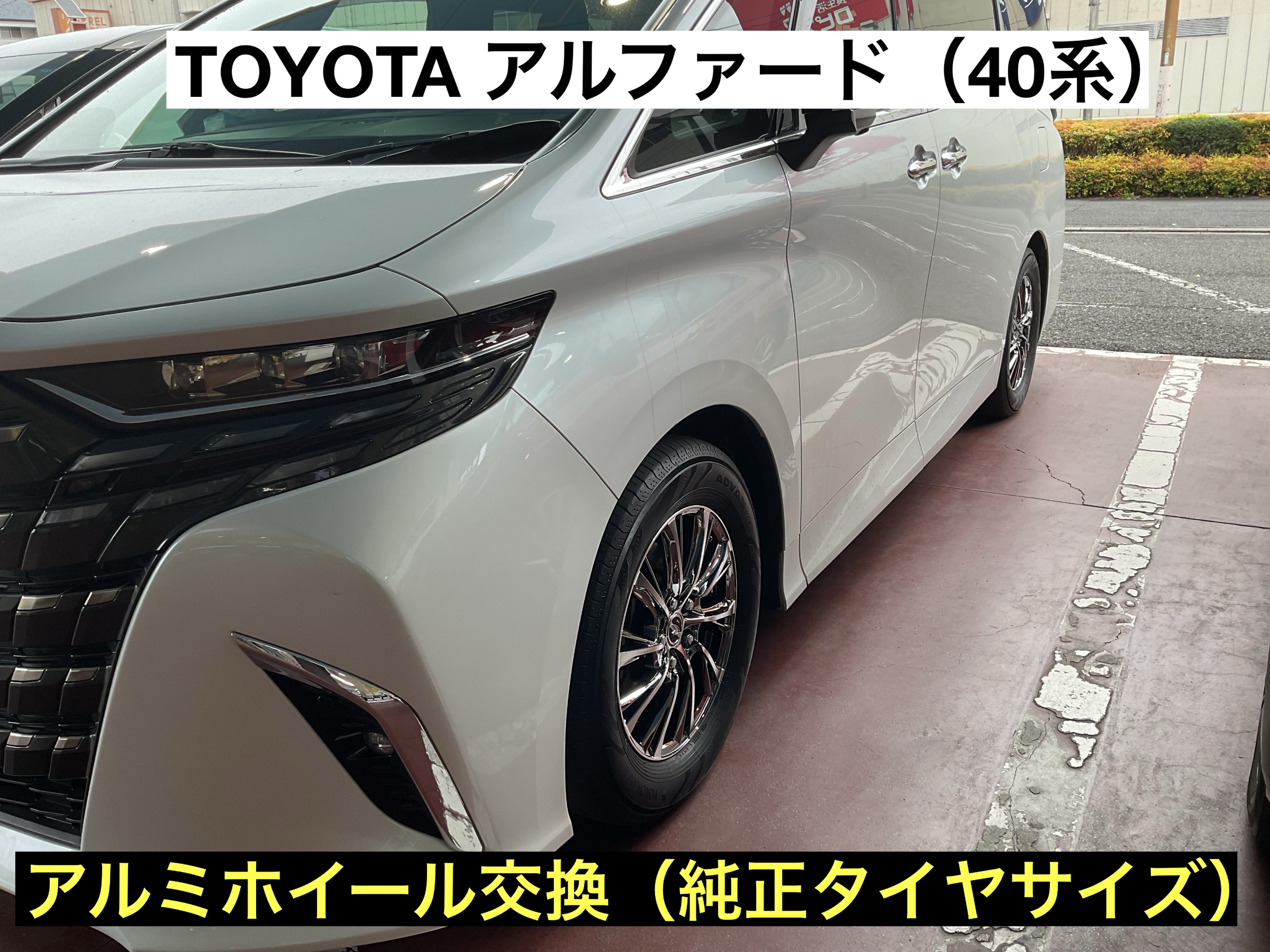 スタッフが撮影