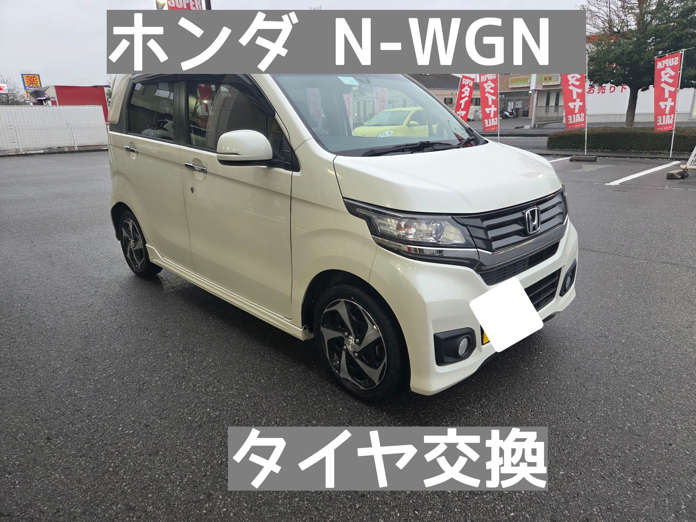 スタッフが撮影しました