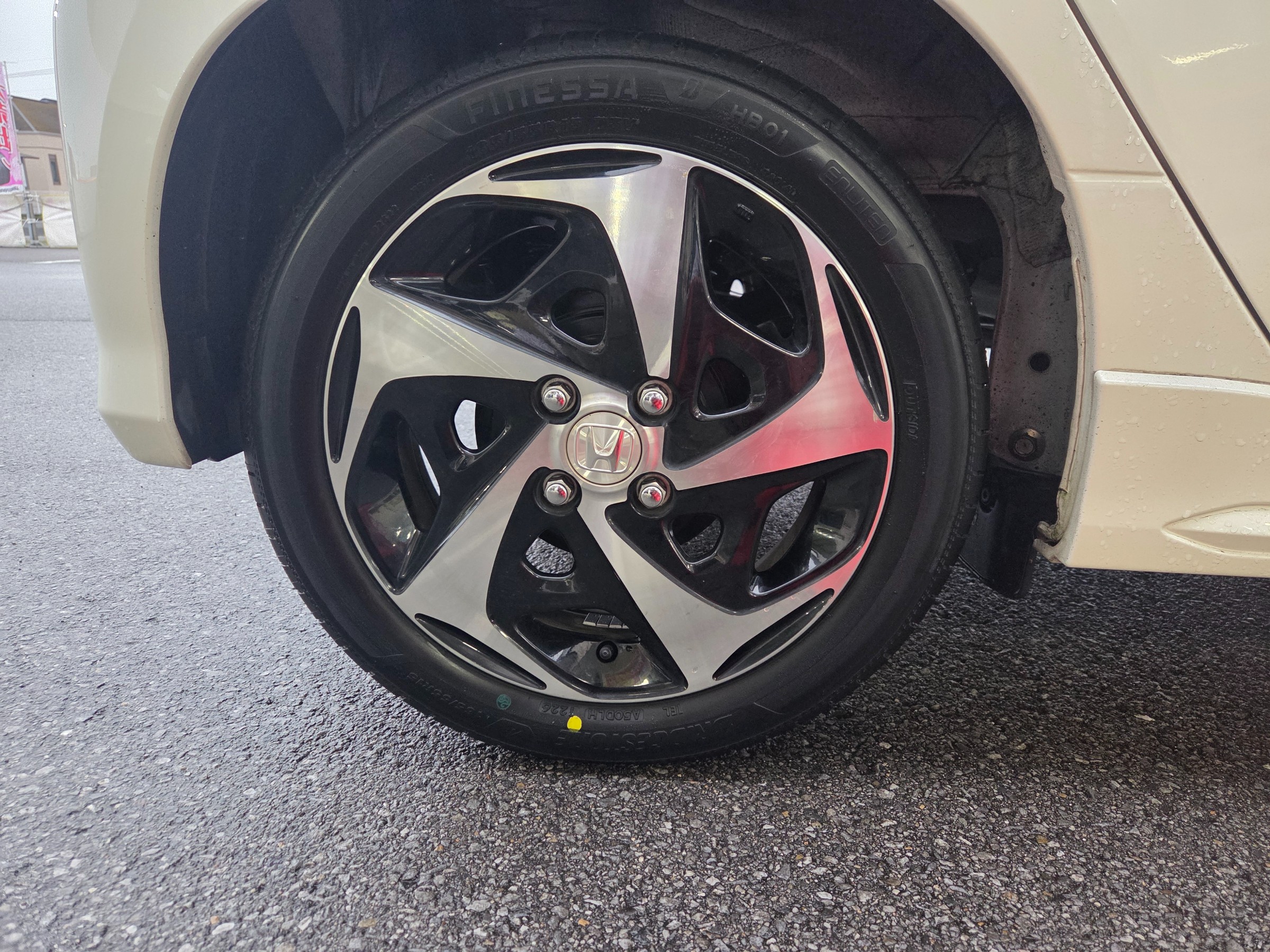 スタッフが撮影しました