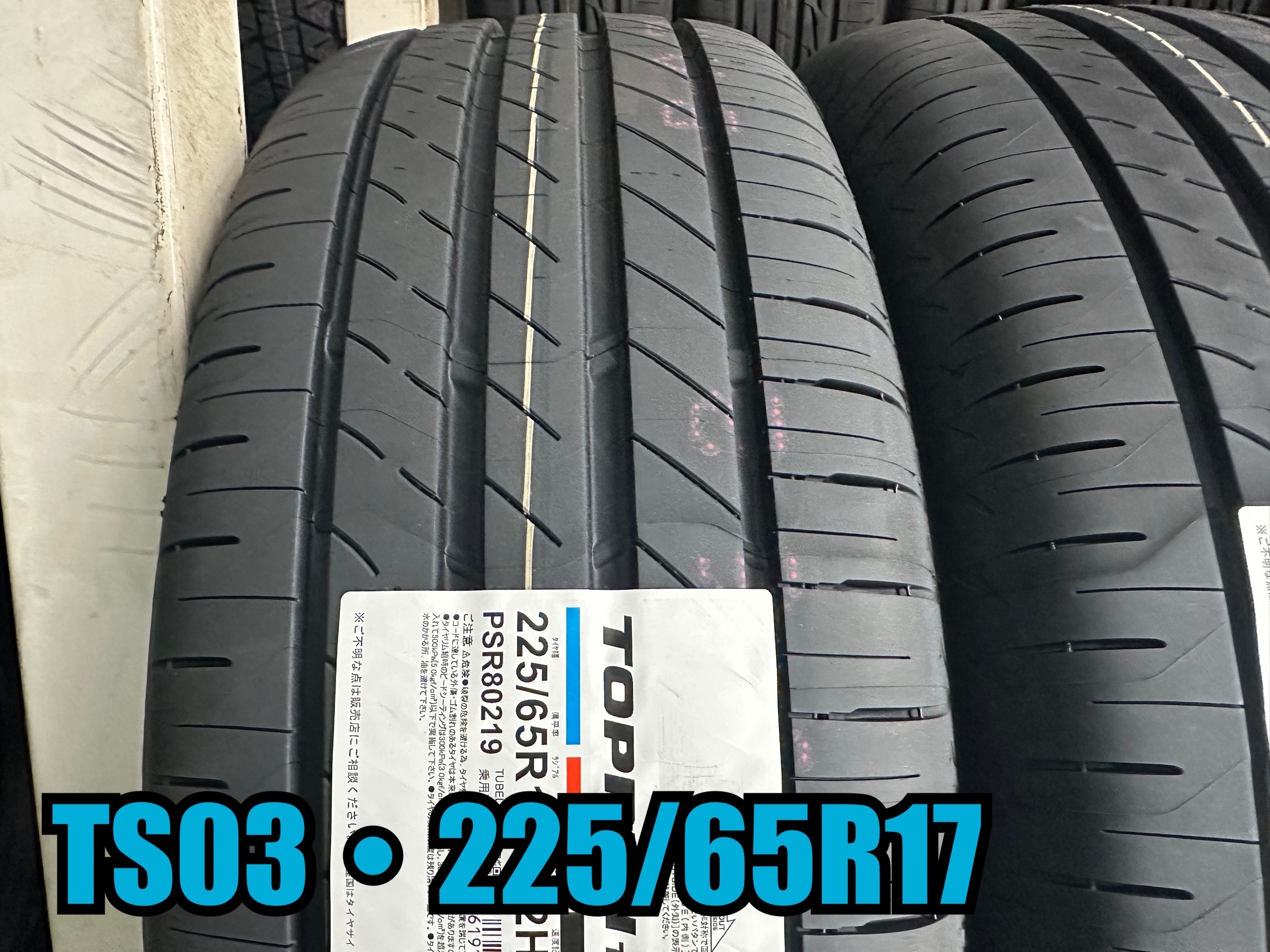 225/65R17 TOPRUN
