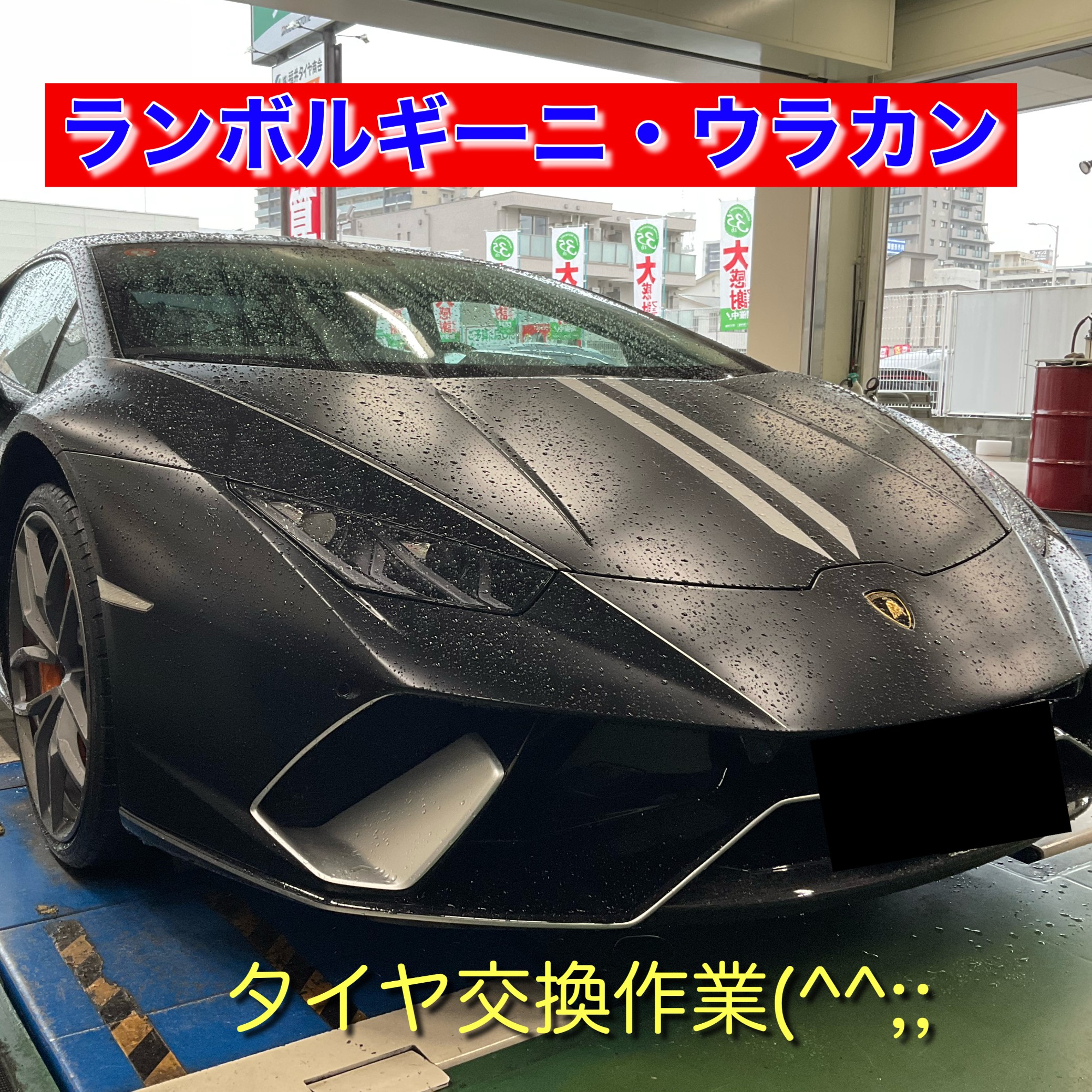 スタッフが撮影、加工したデータになります。