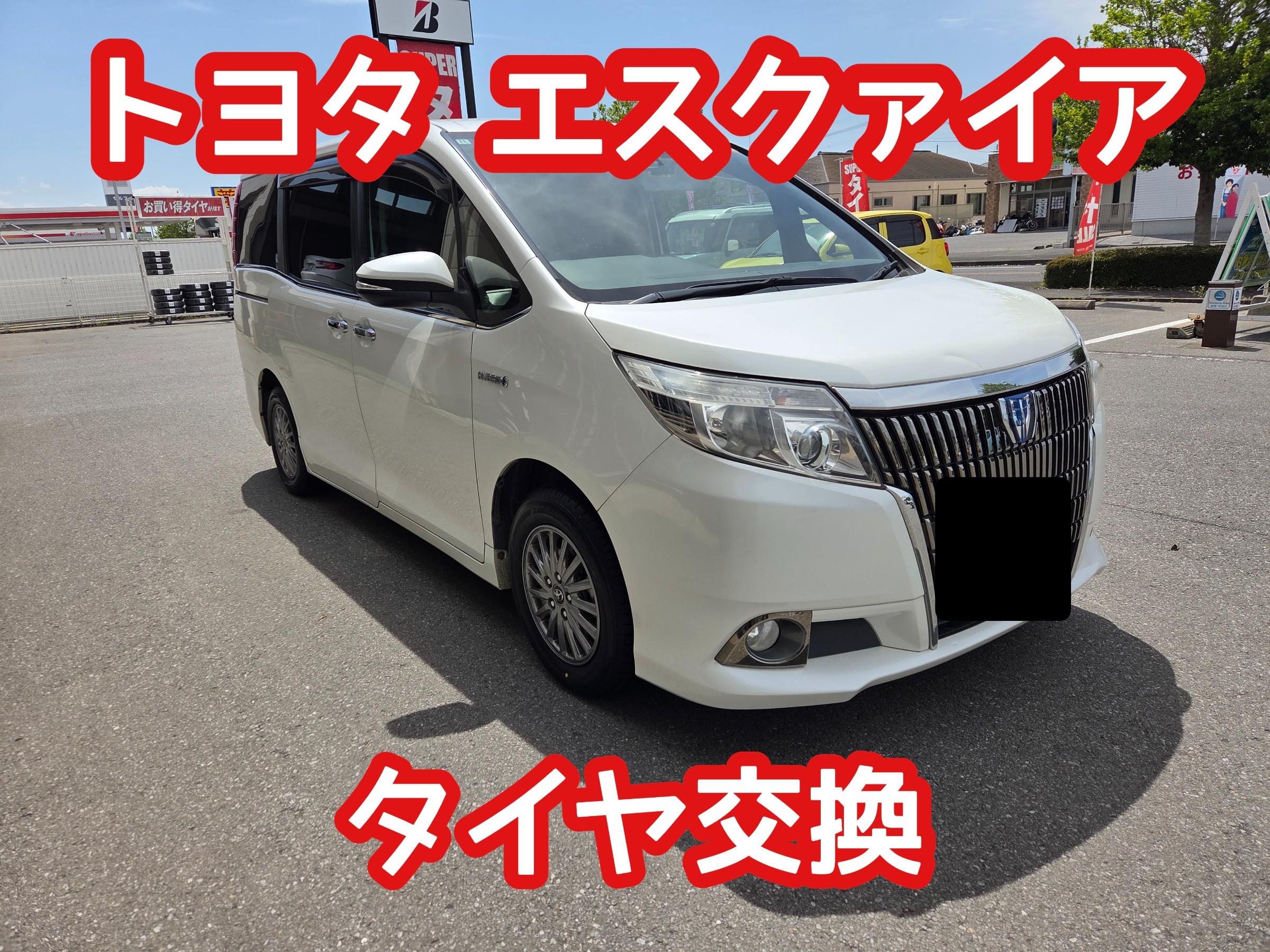 スタッフが撮影しました