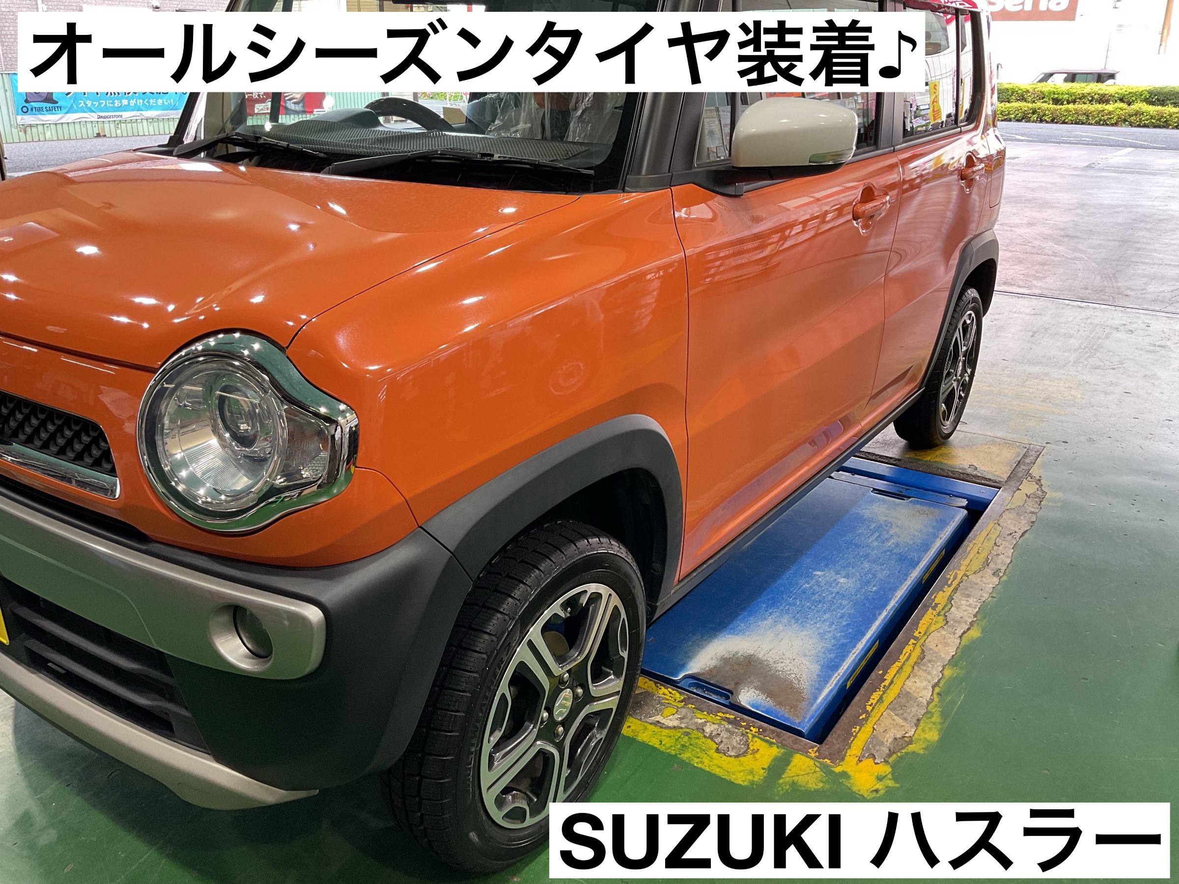 スタッフが撮影