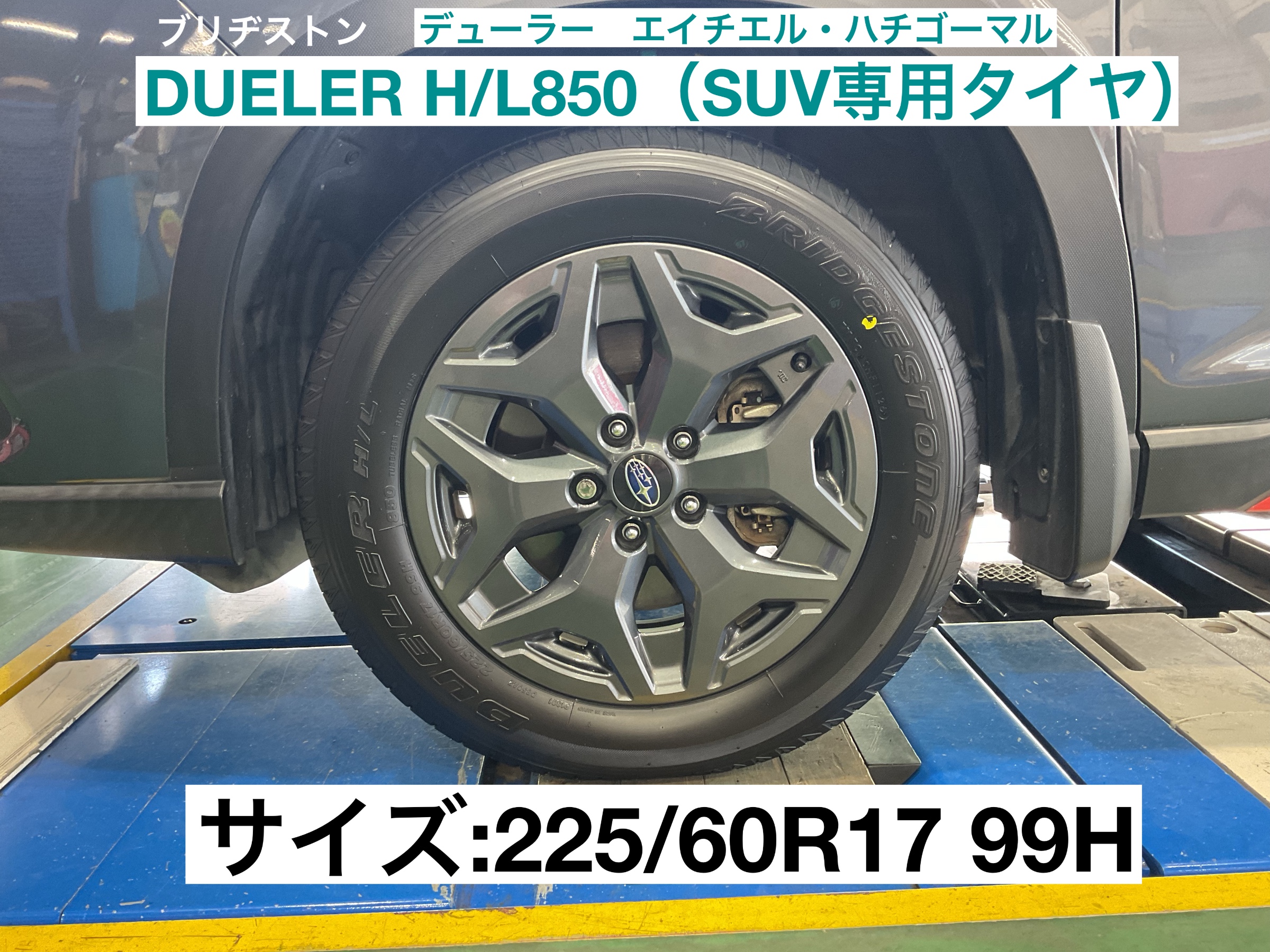 スタッフが撮影