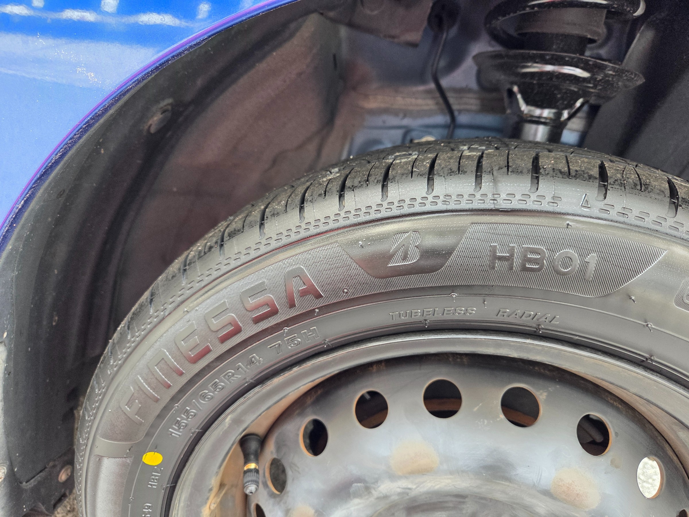 スタッフが撮影しました