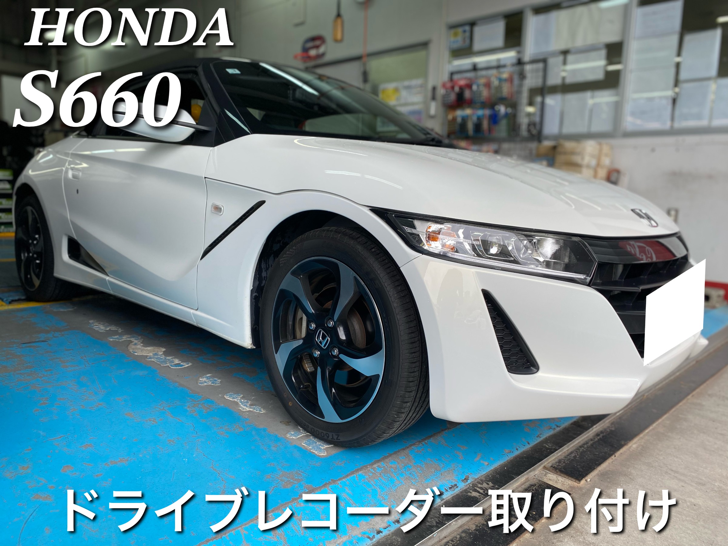 スタッフが撮影した画像
