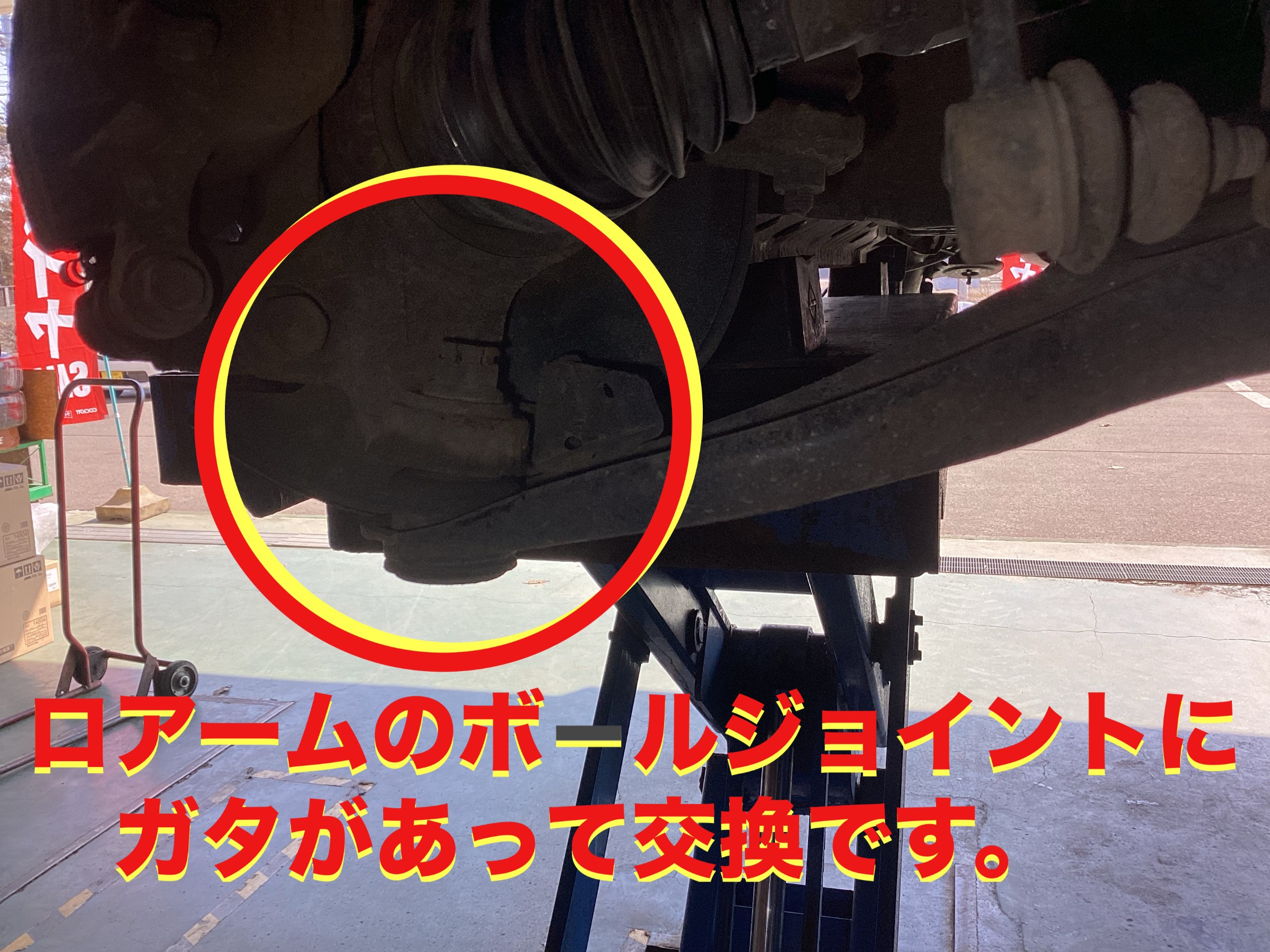 自店撮影です