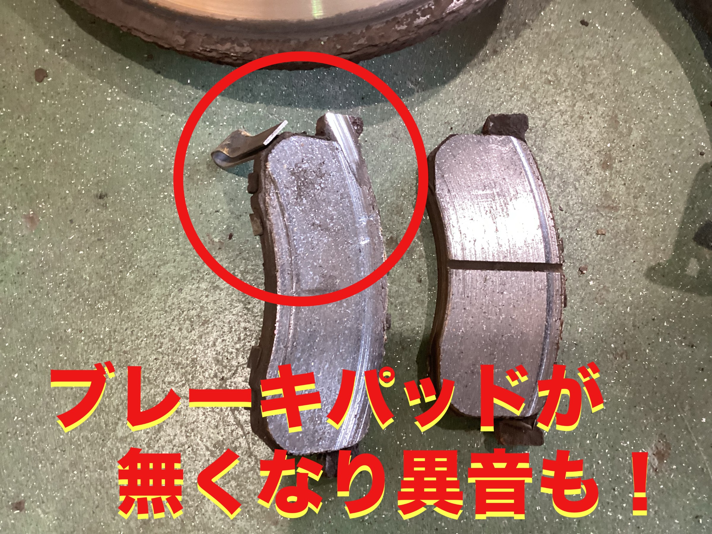 自店撮影です