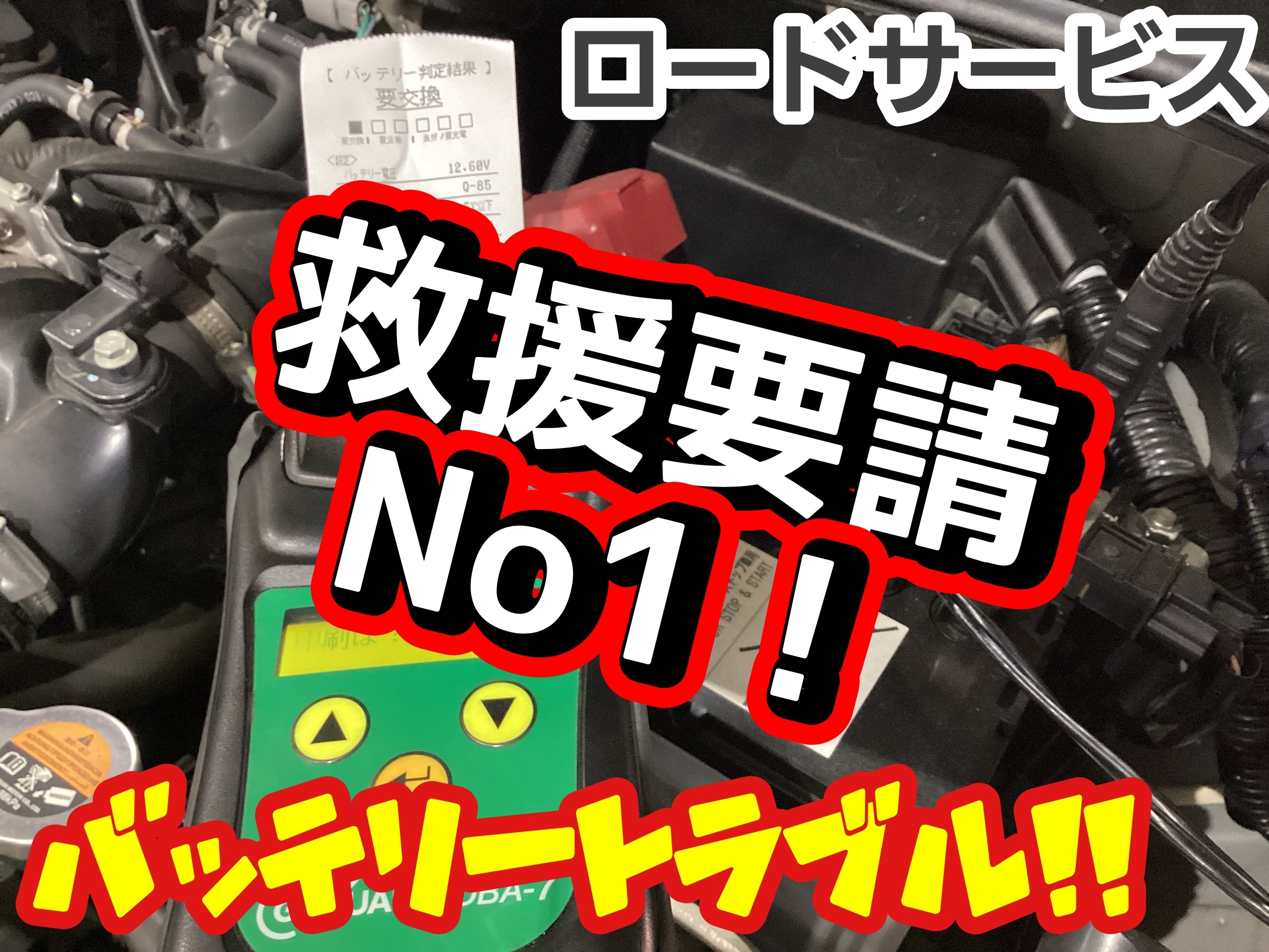 スタッフ撮影