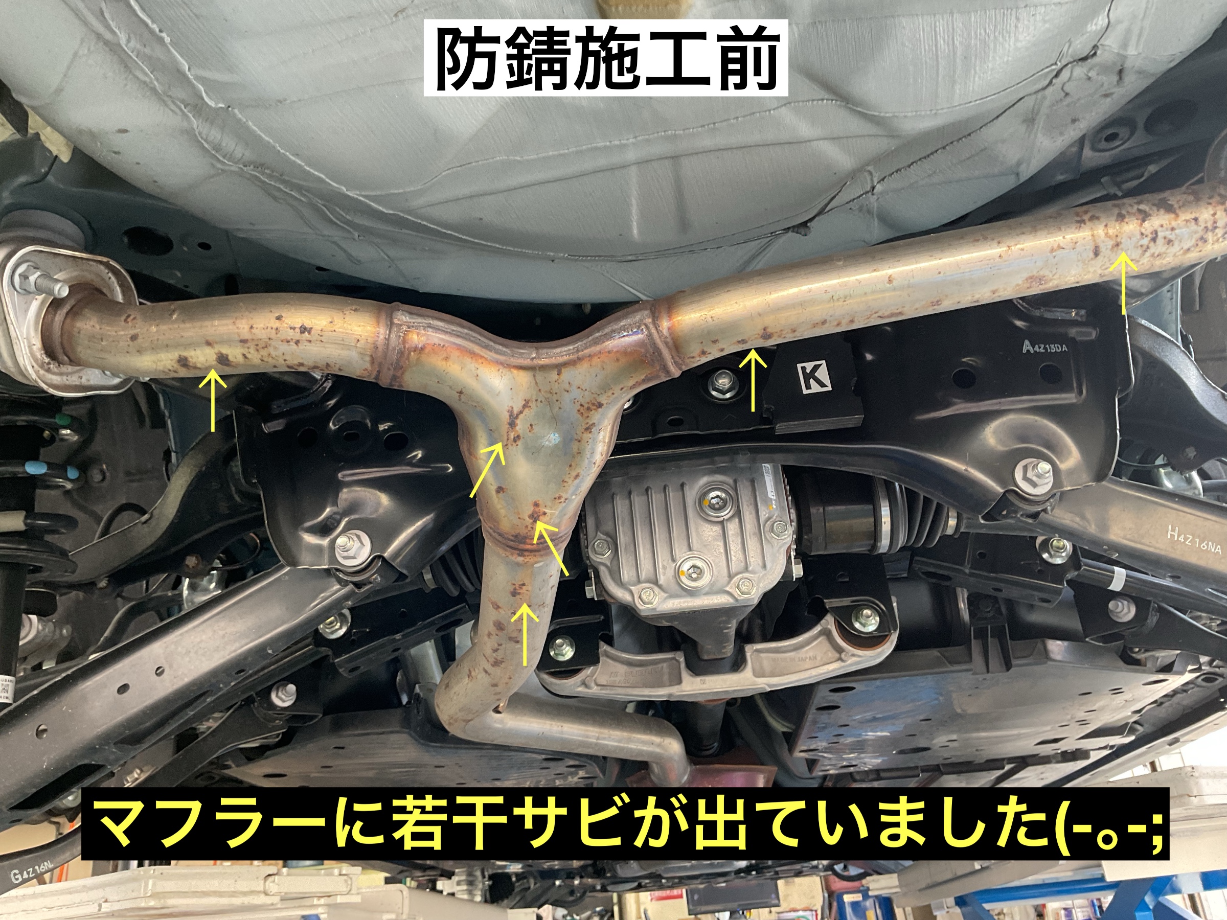 スタッフが撮影