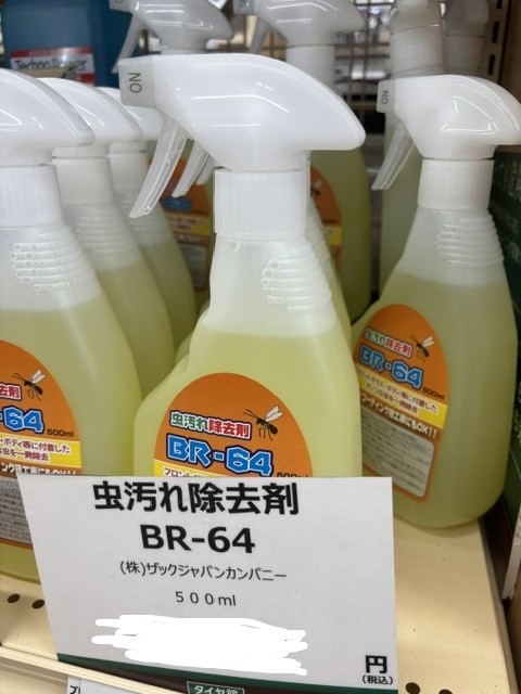 スタッフ撮影です。