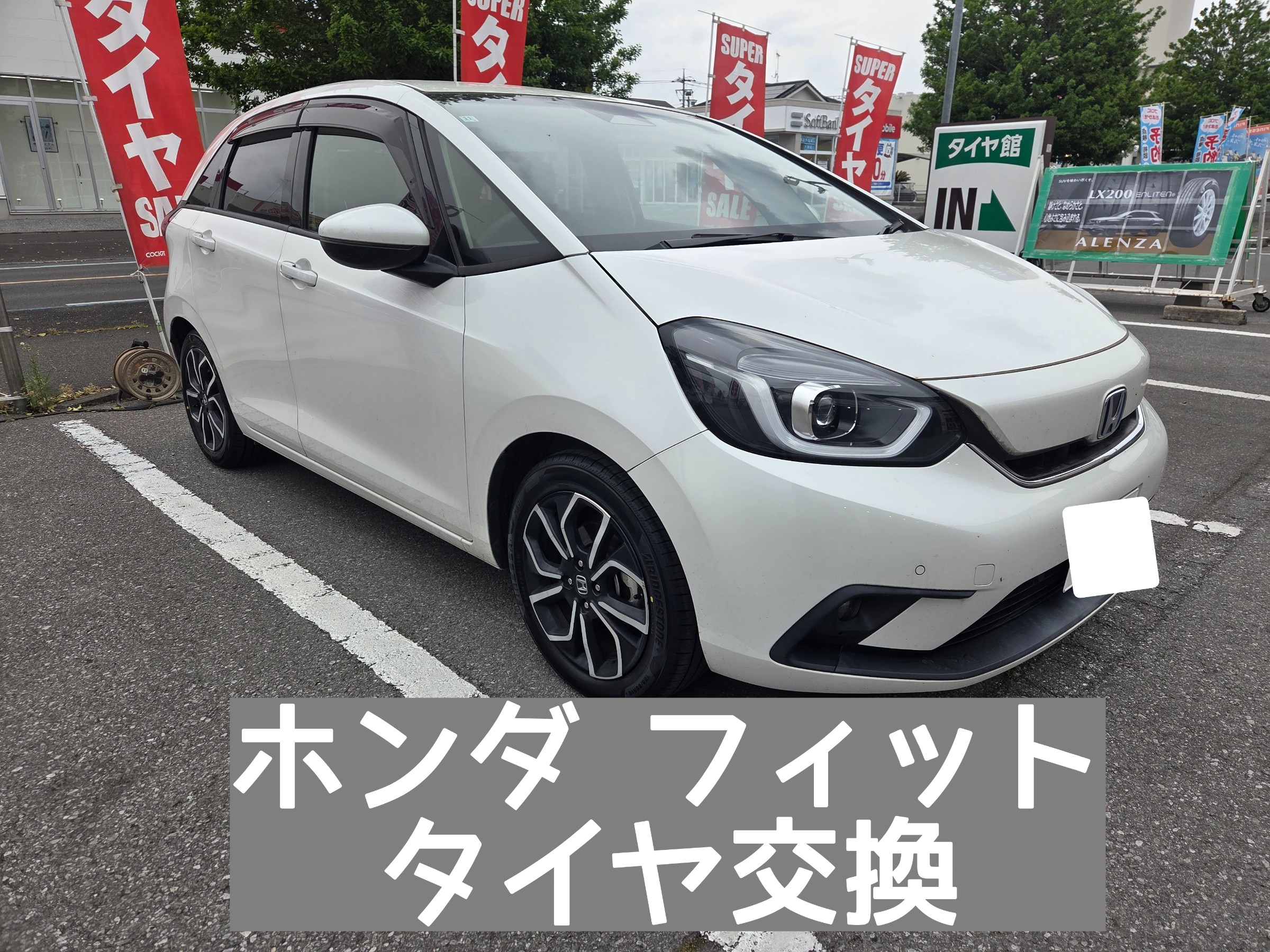 スタッフが撮影しました