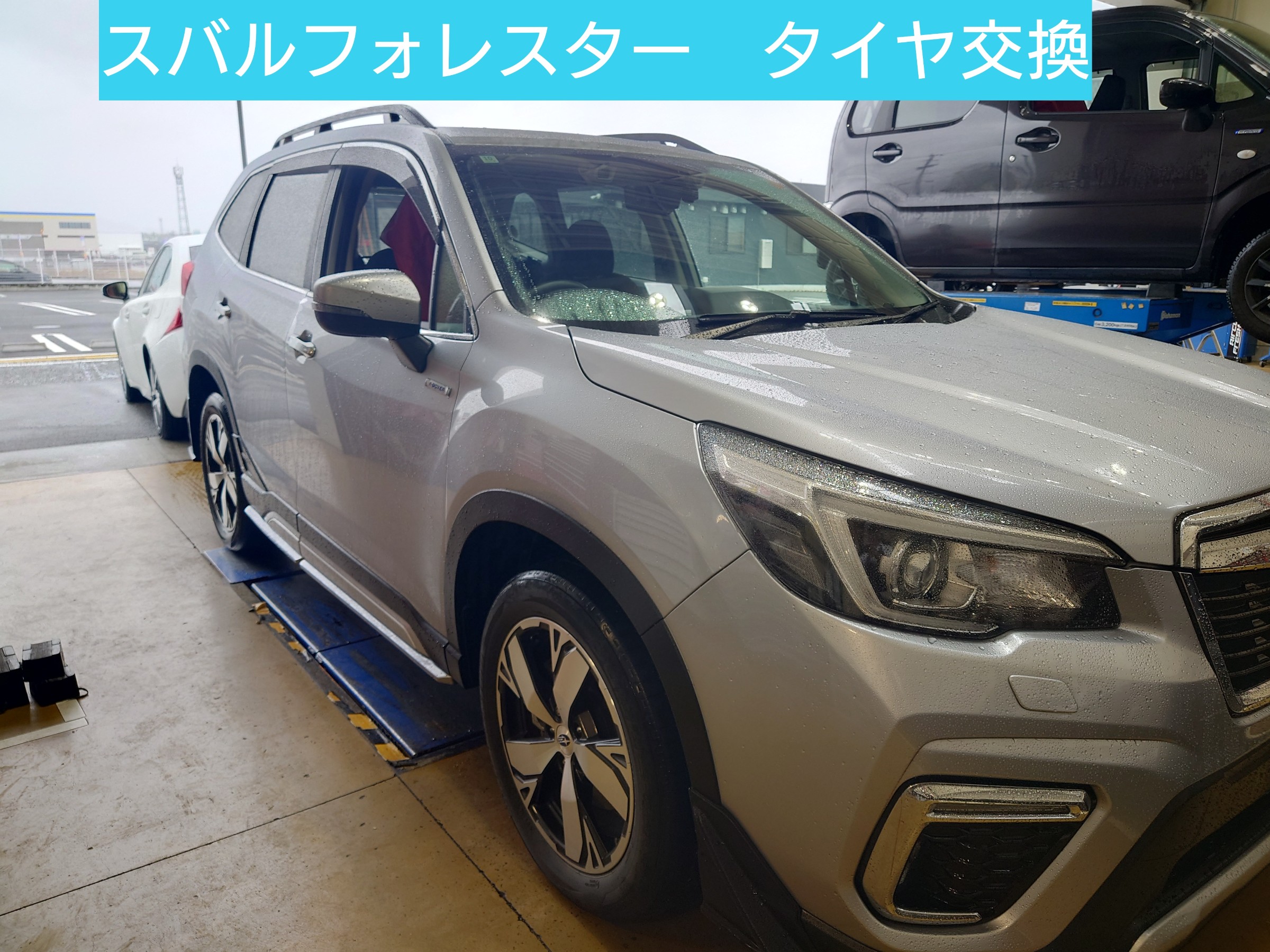 スタッフ撮影写真