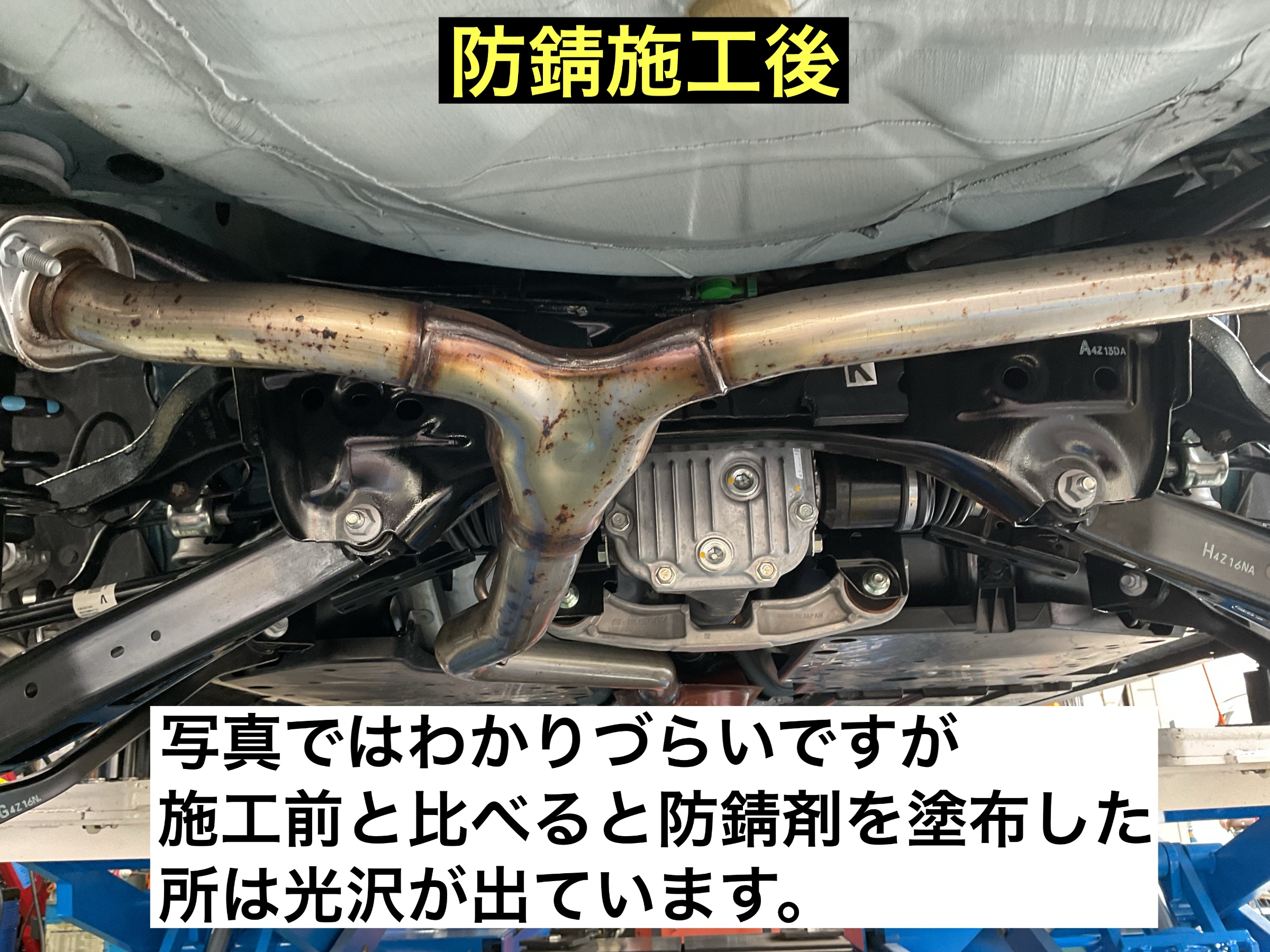 スタッフが撮影