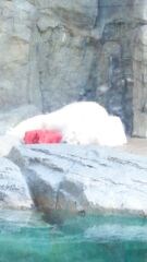 あまりの暑さにうなだれる豪太