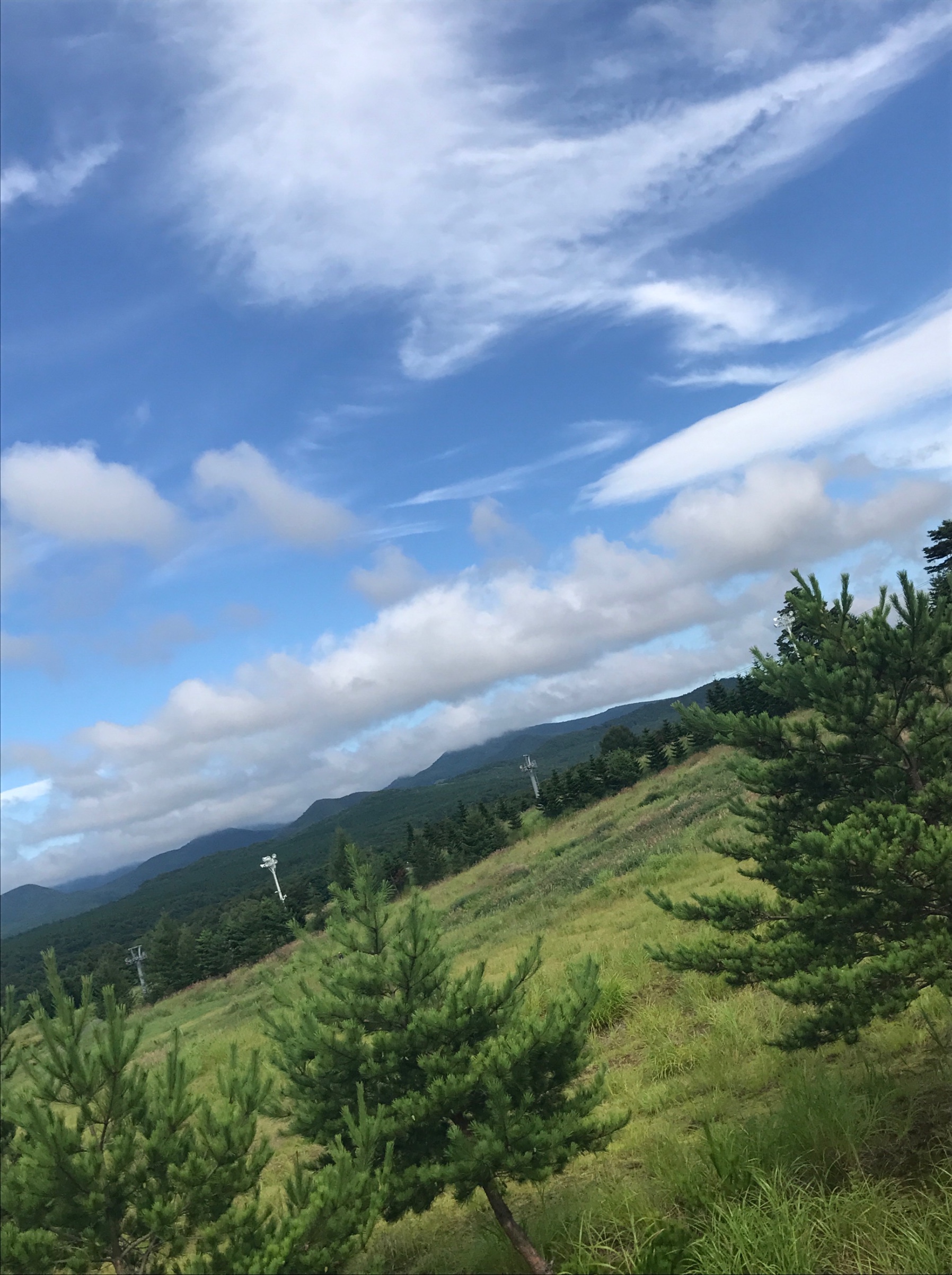 スタッフが撮影した画像です。