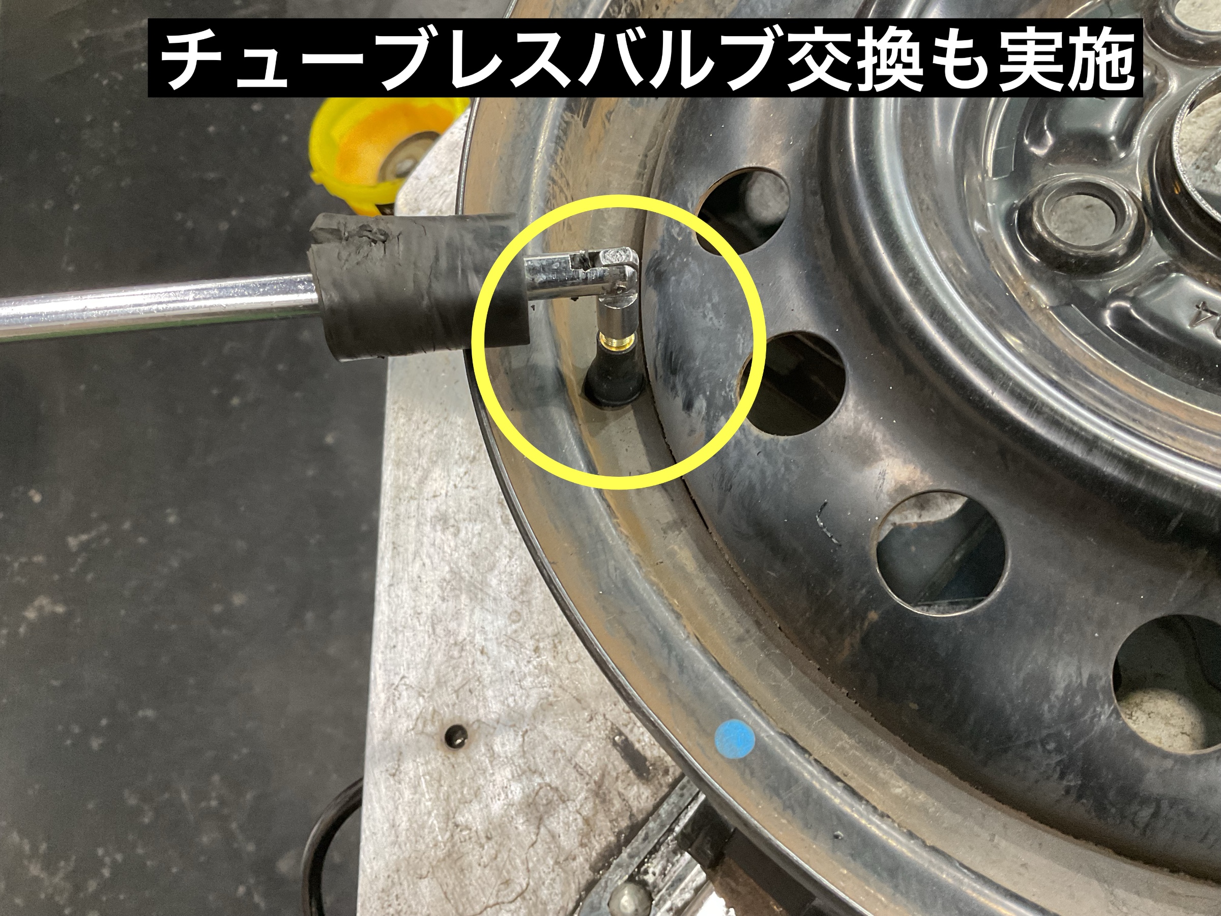 スタッフが撮影