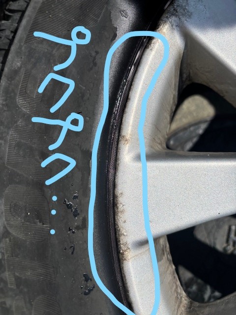 スタッフ撮影です。