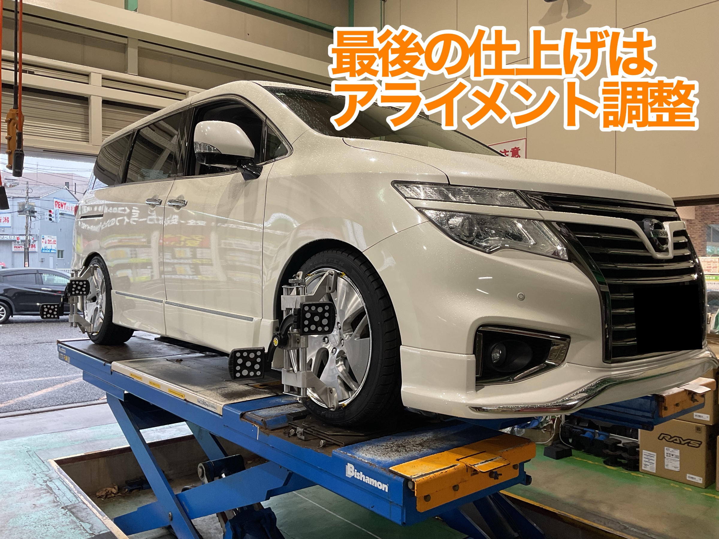 TE52 アライメント