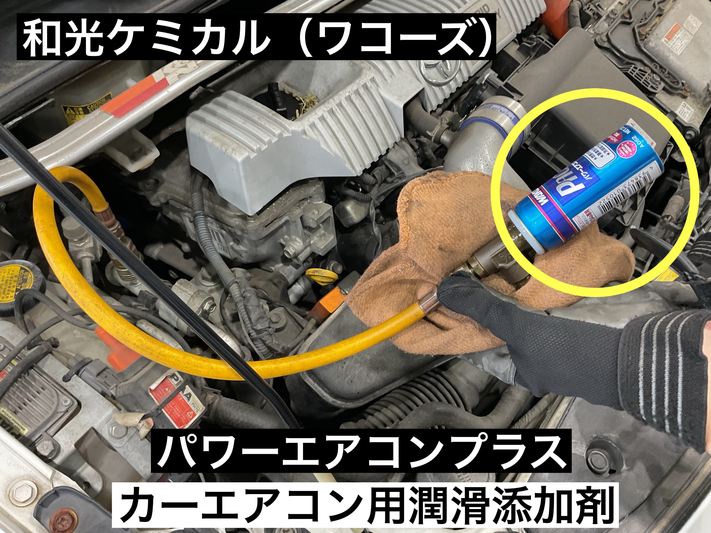 スタッフが撮影