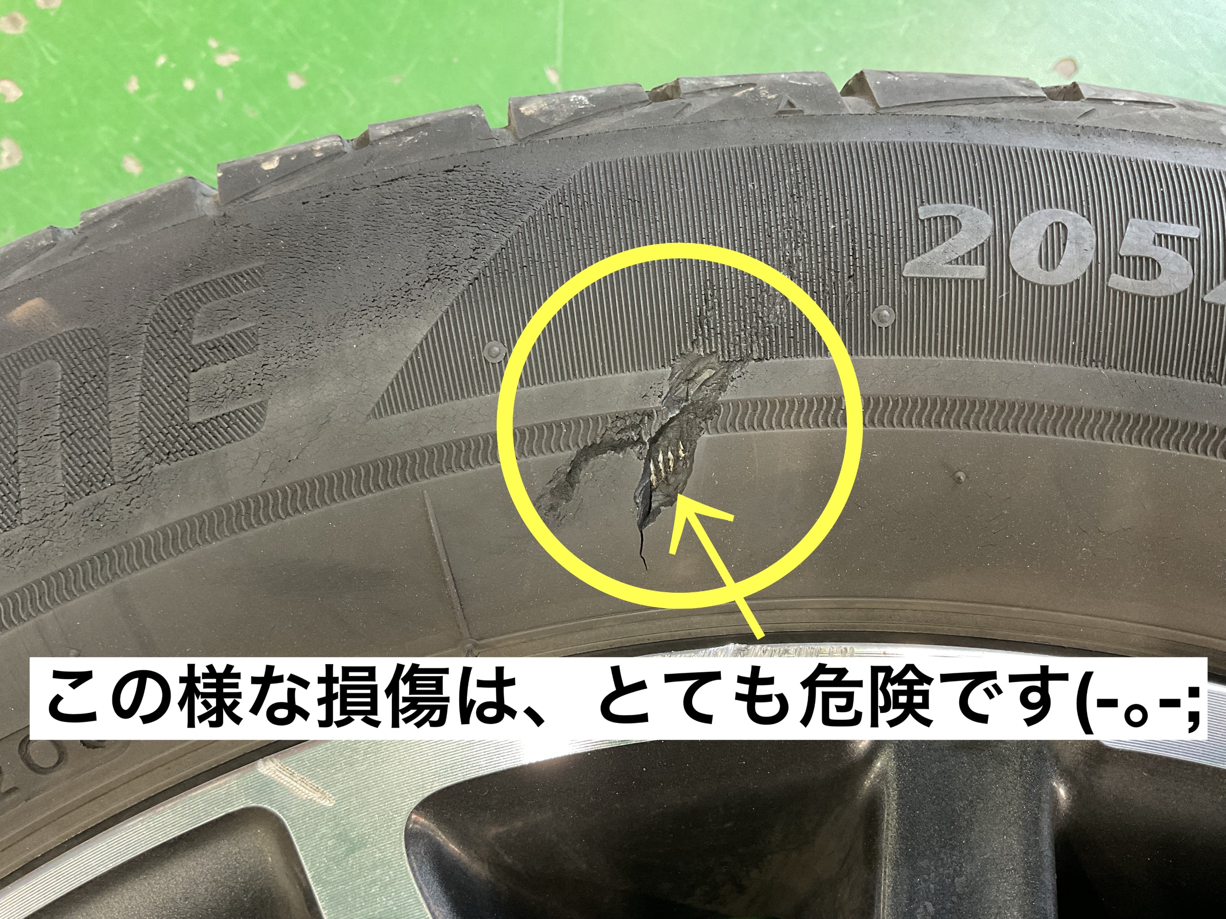 スタッフが撮影