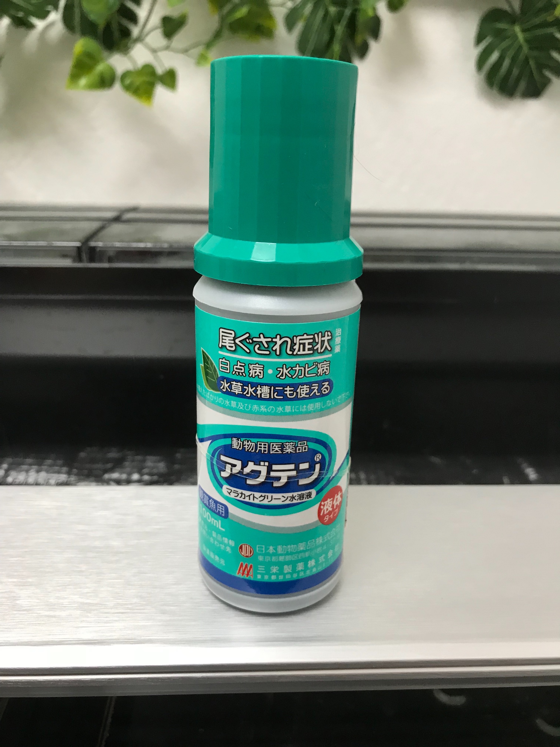 スタッフが撮影した写真です