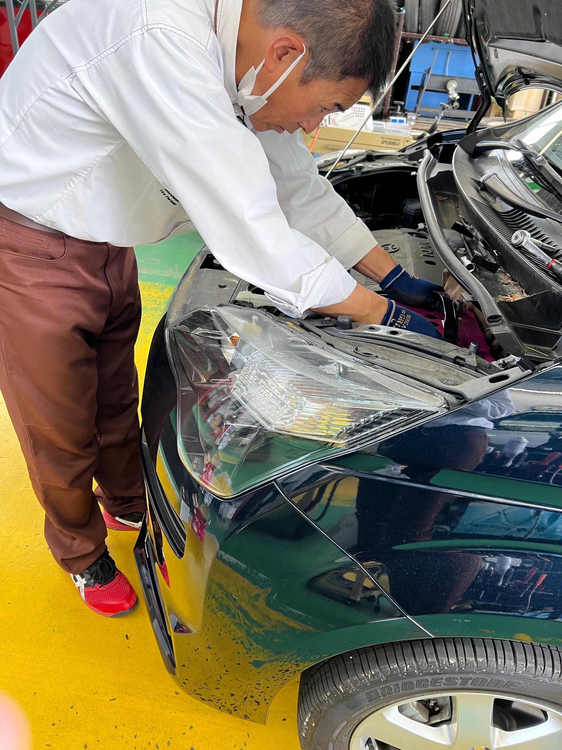 スタッフ撮影です。