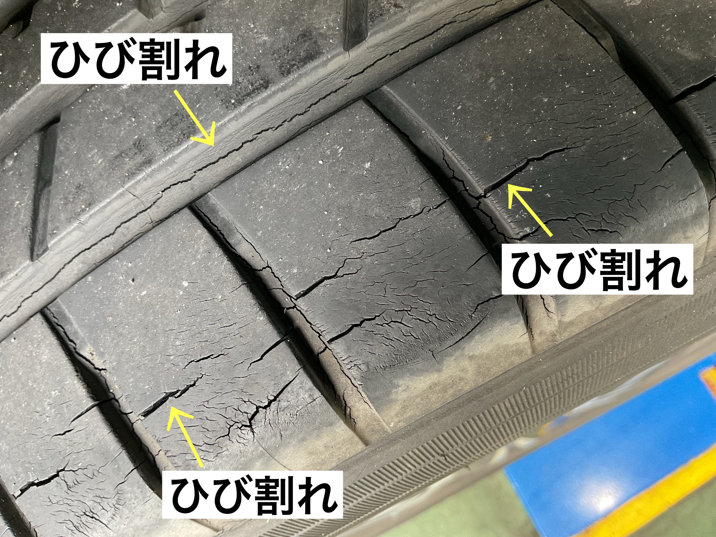 スタッフが撮影