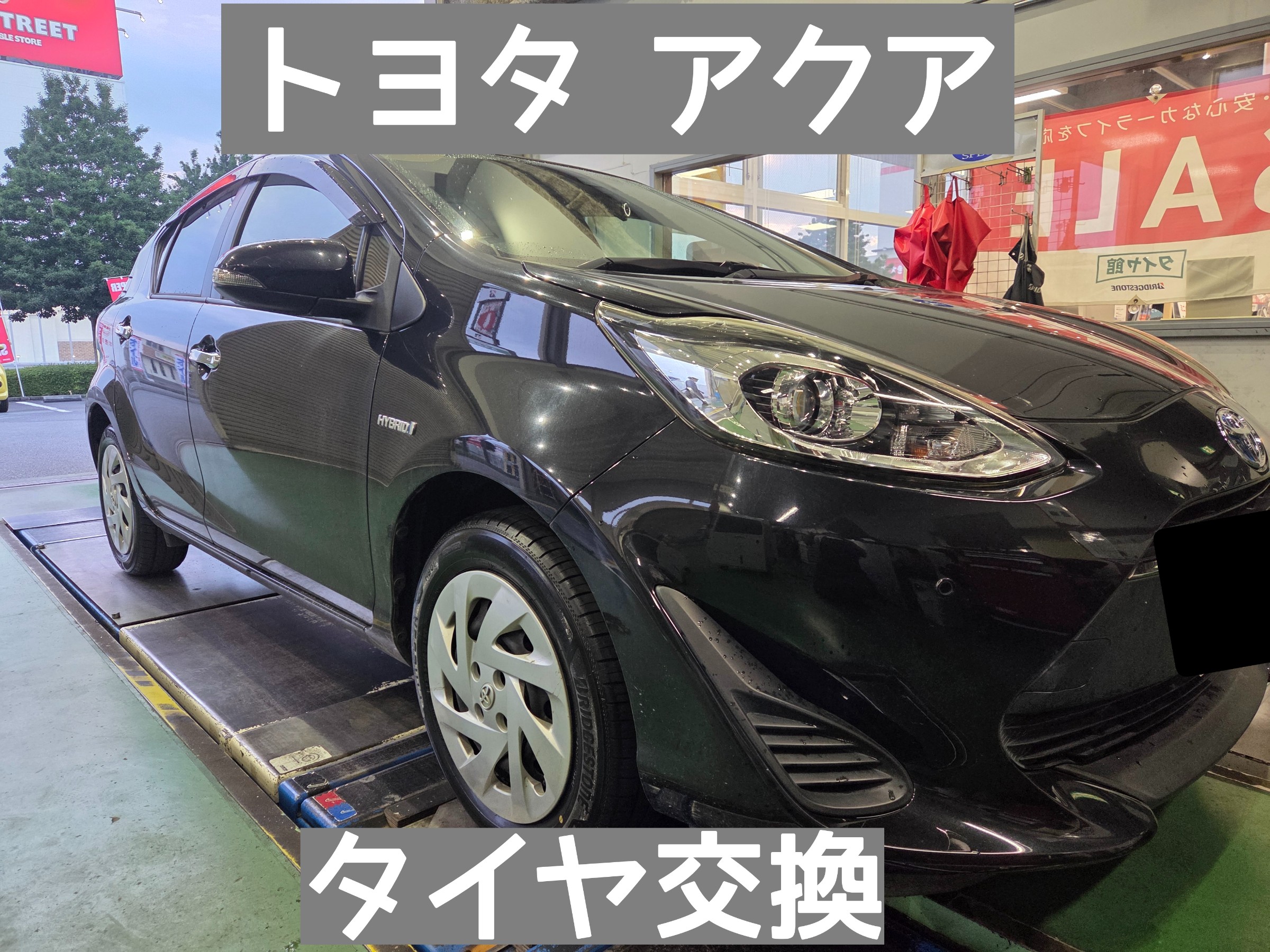 スタッフが撮影しました