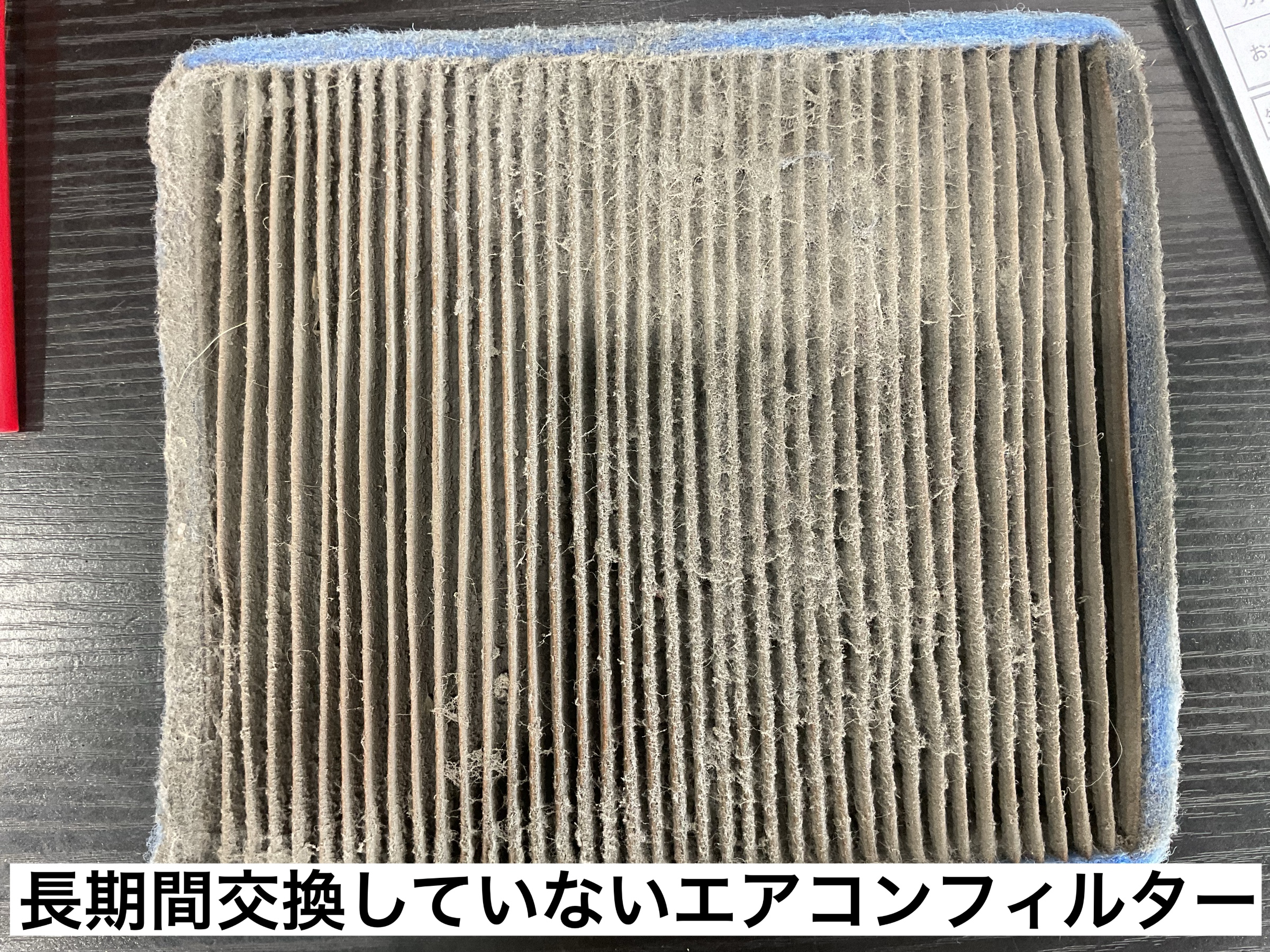 スタッフが撮影