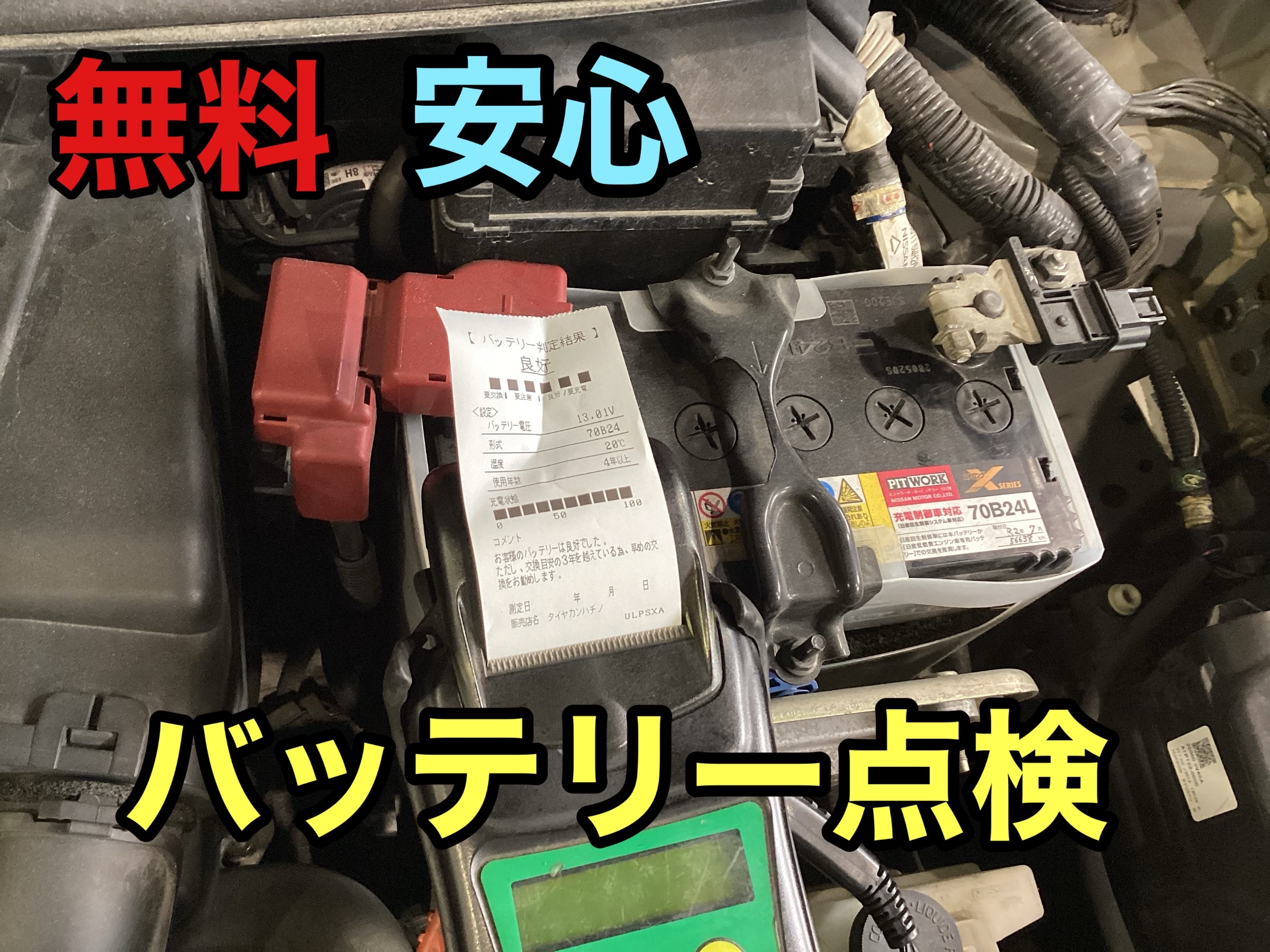 スタッフが撮影した写真です。
