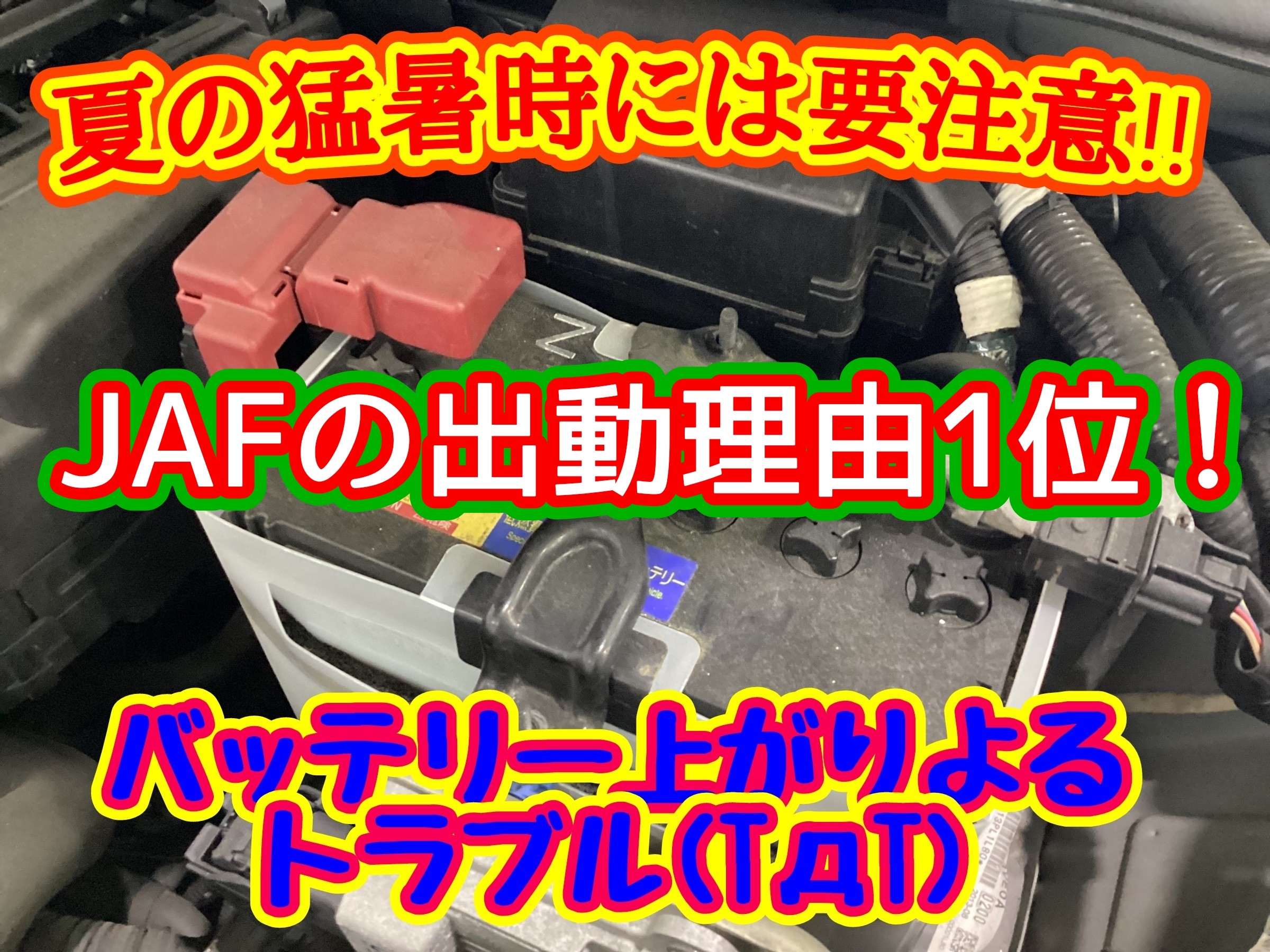 スタッフ撮影